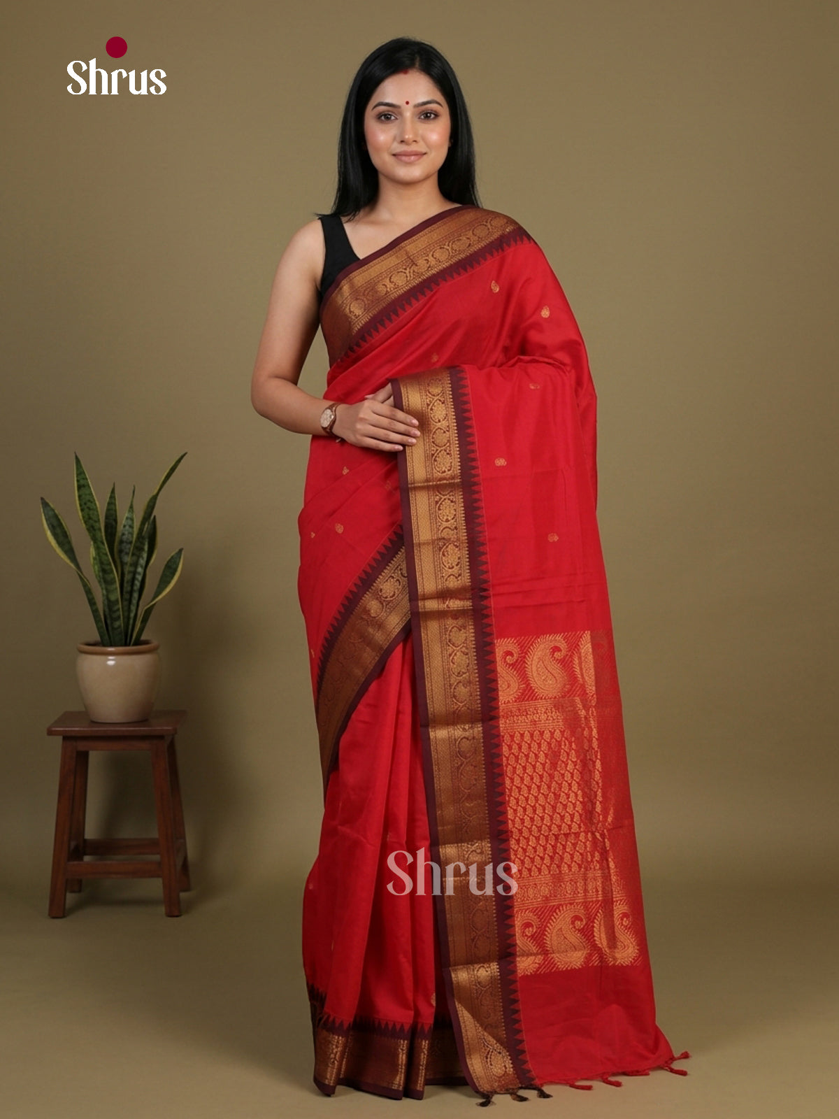 Chettinad Cotton Saree - EFS09147