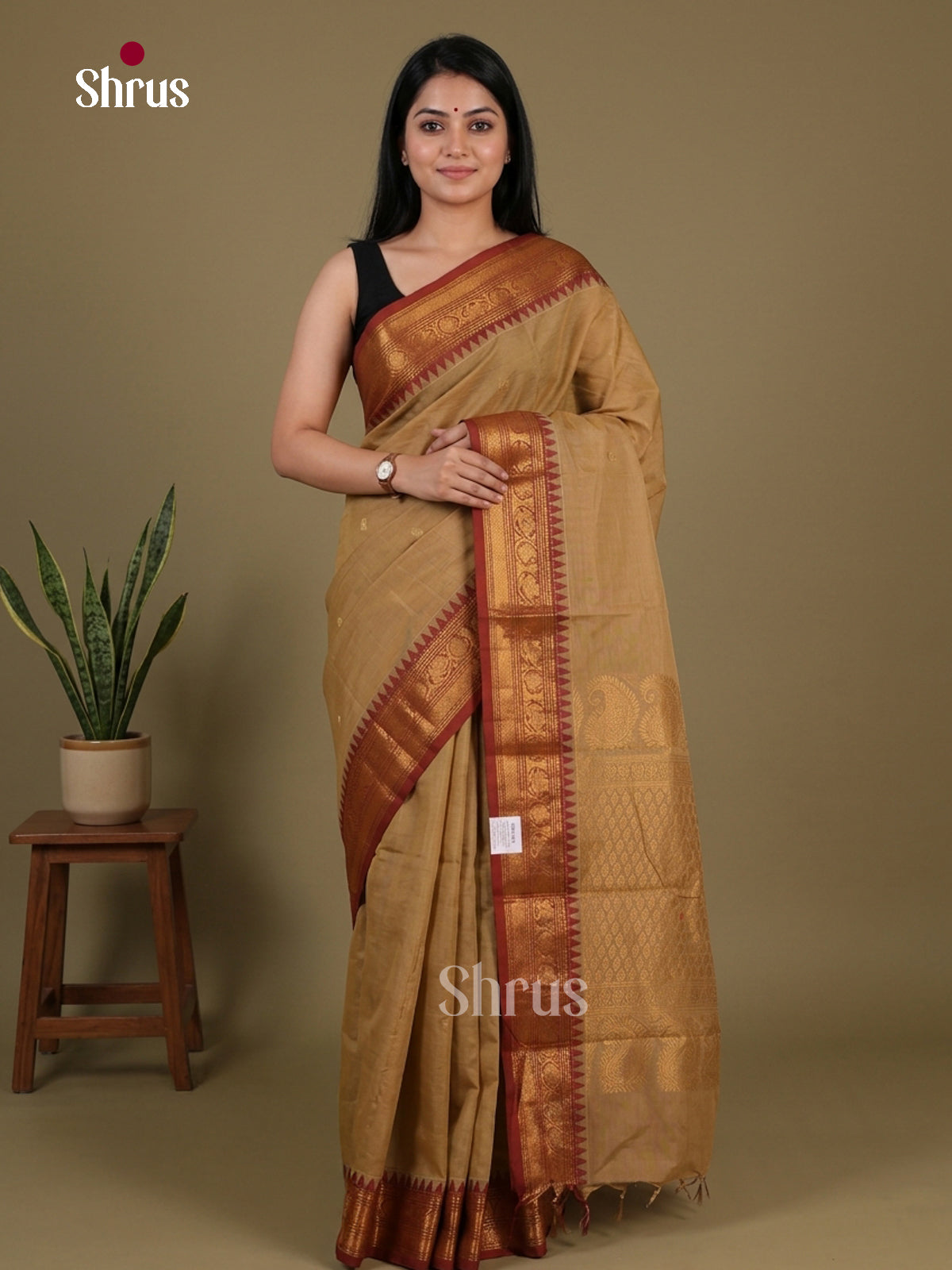 Chettinad Cotton Saree - EFS09153