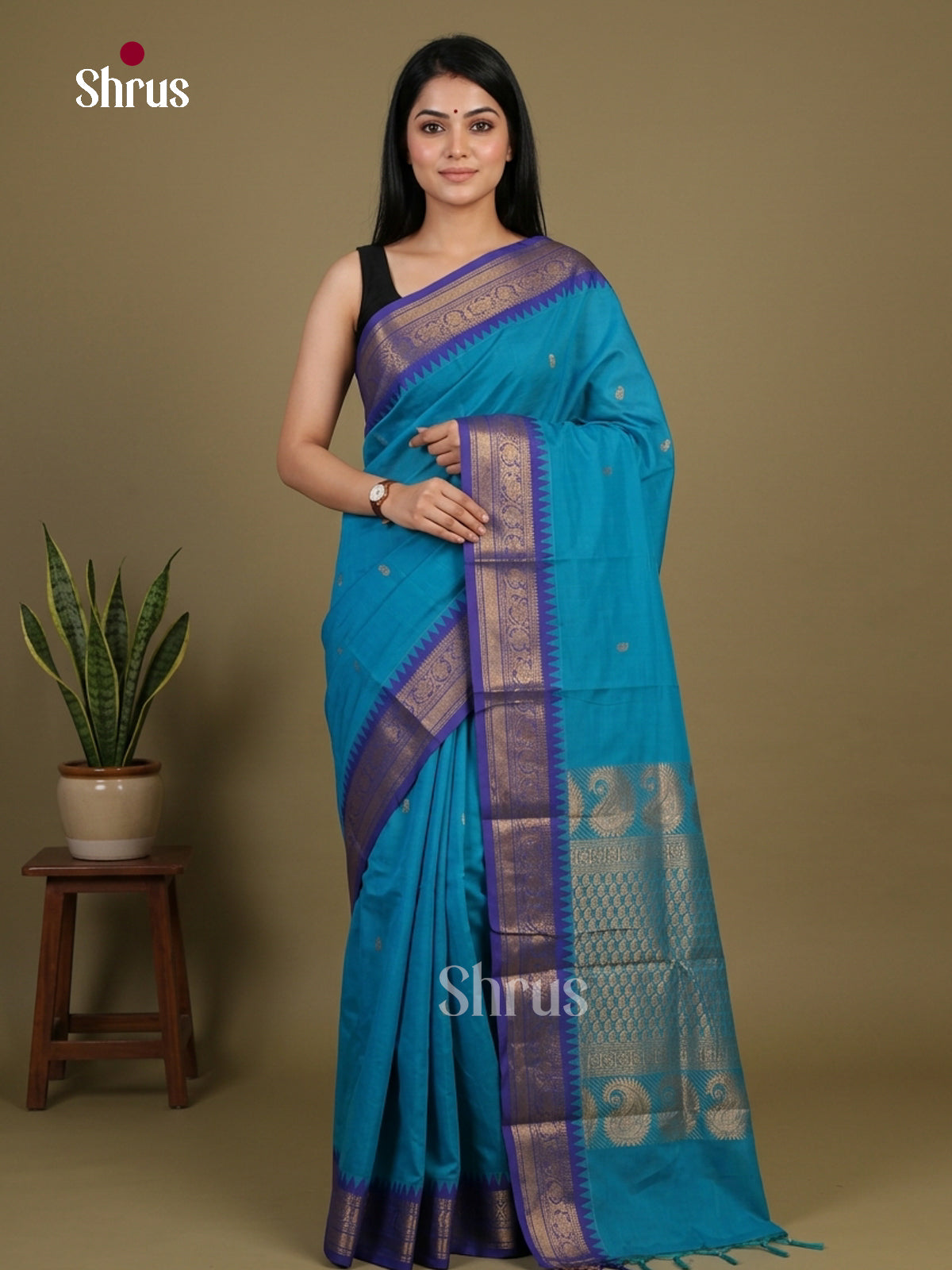 Chettinad Cotton Saree - EFS09162