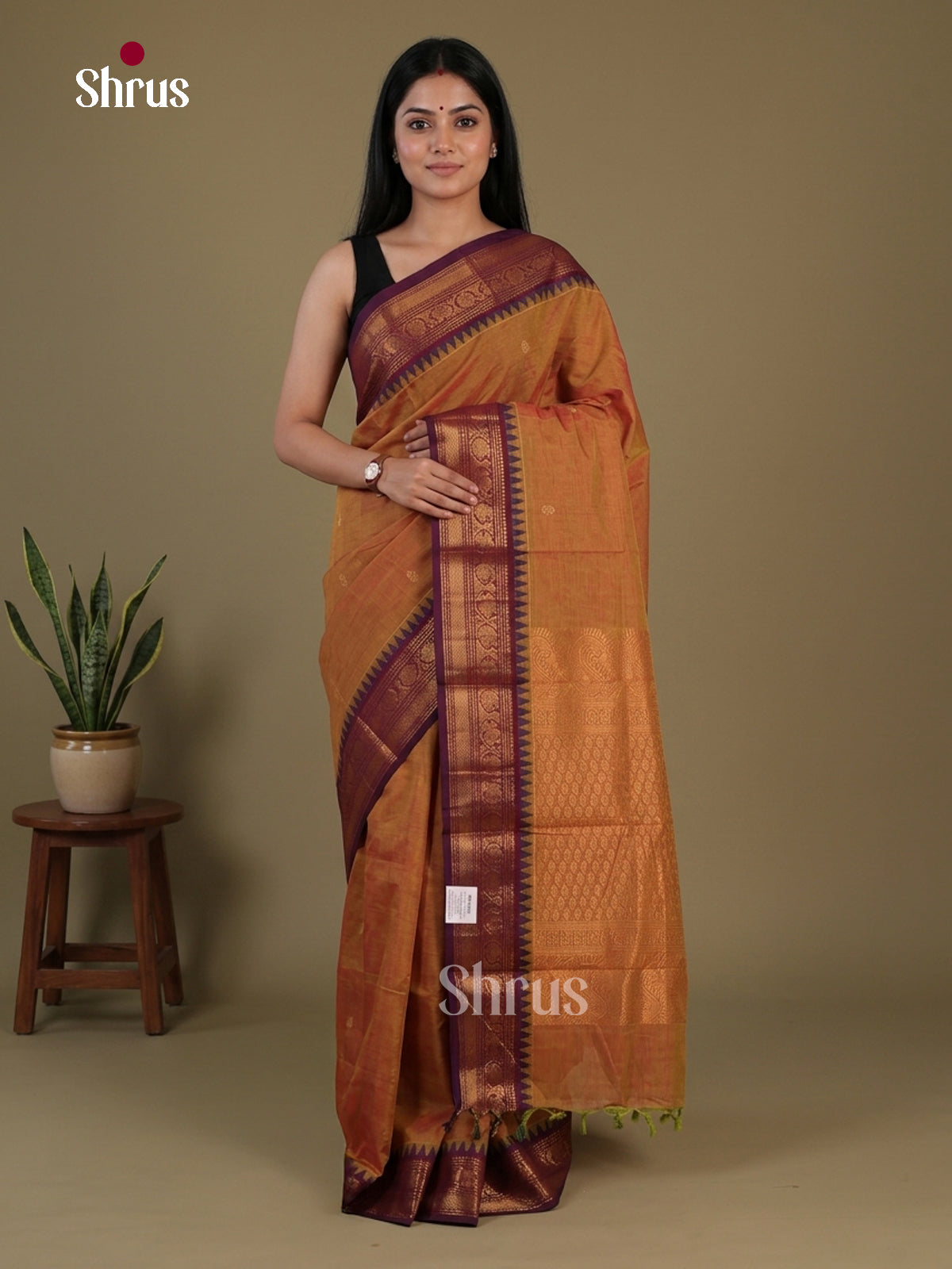 Chettinad Cotton Saree - EFS09163 - Shop on Shrus.com