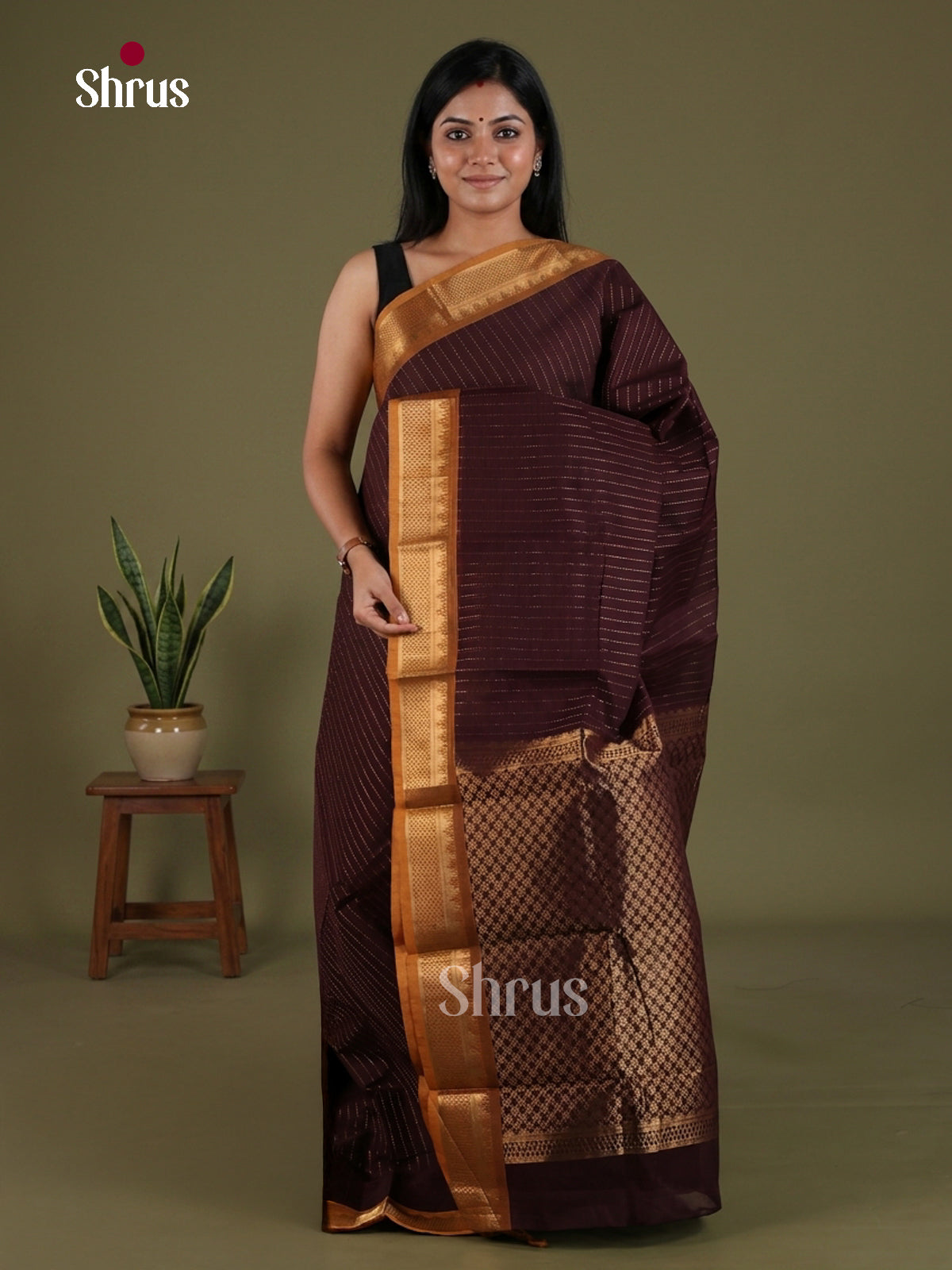 Chettinad Cotton Saree - EFS09173