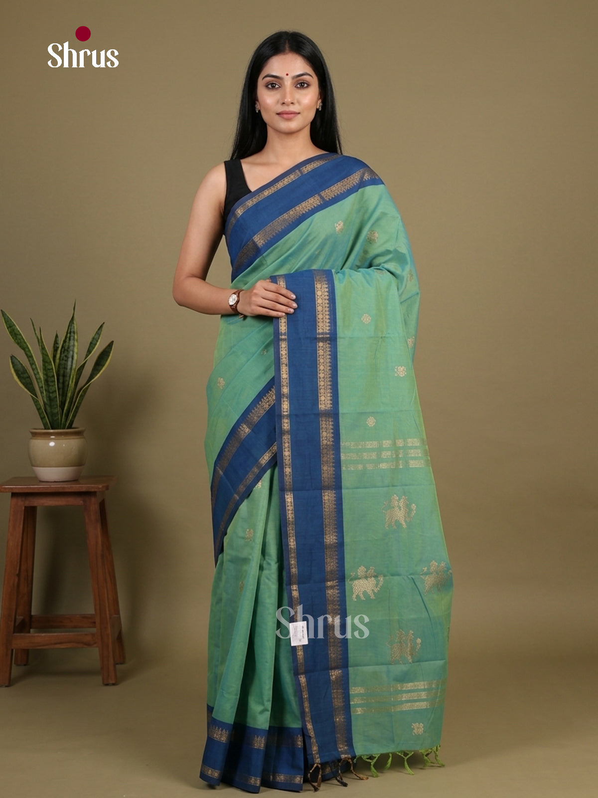 Chettinad Cotton Saree - EFS10002