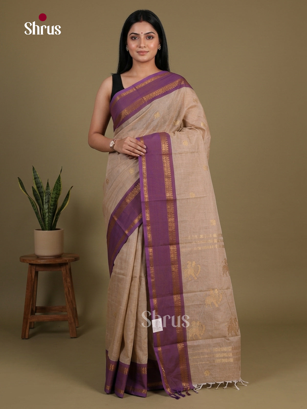 Chettinad Cotton Saree - EFS10004