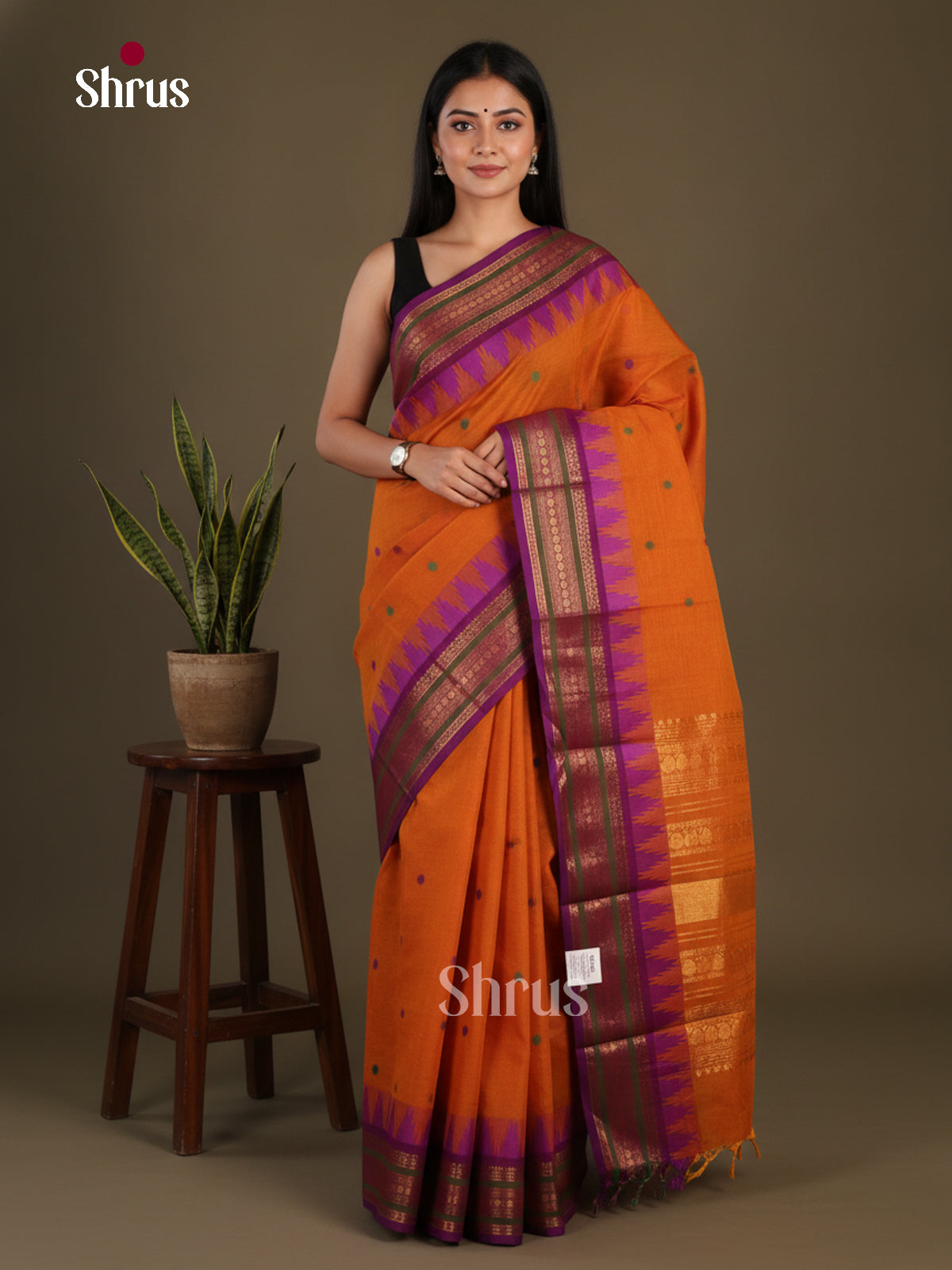 Chettinad Cotton Saree - EFS10010 - Shop on Shrus.com