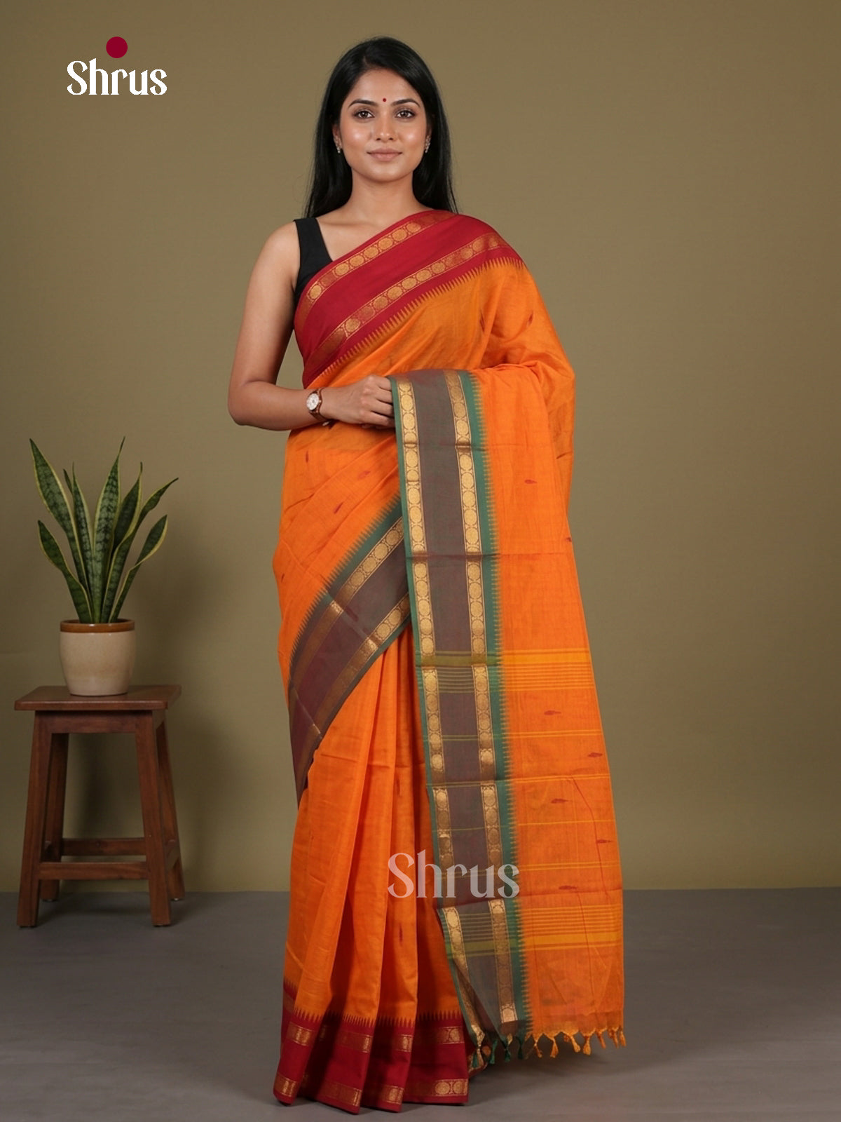 Chettinad Cotton Saree - EFS11003 - Shop on Shrus.com