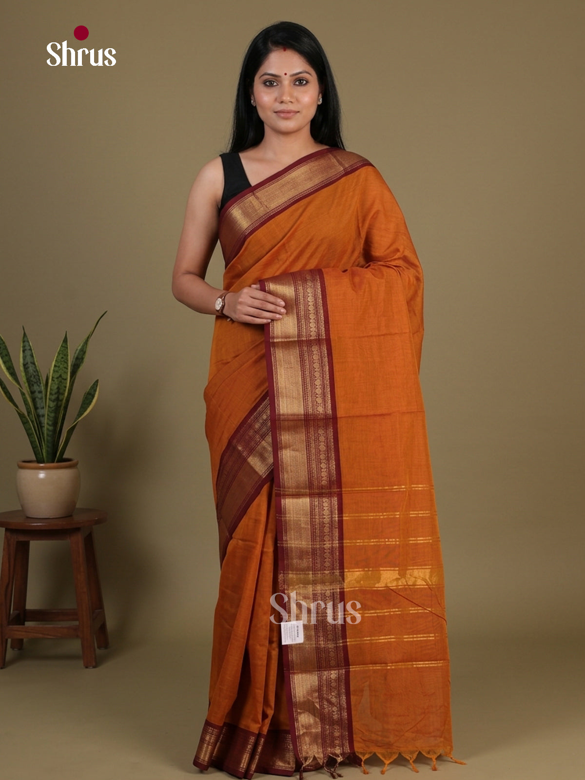 Chettinad Cotton Saree - EFS11015 - Shop on Shrus.com