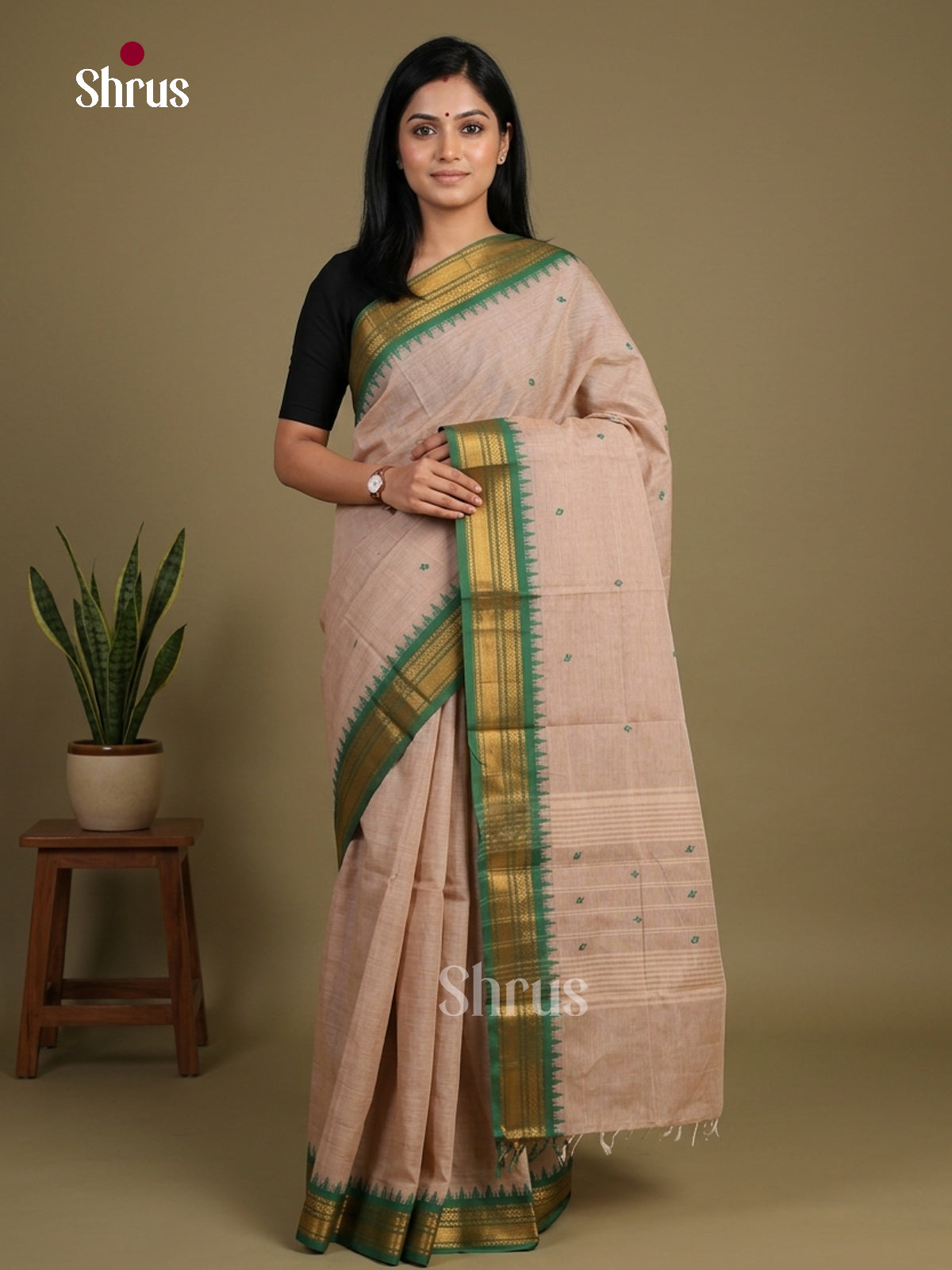 Chettinad Cotton Saree - EFS11022 - Shop on Shrus.com