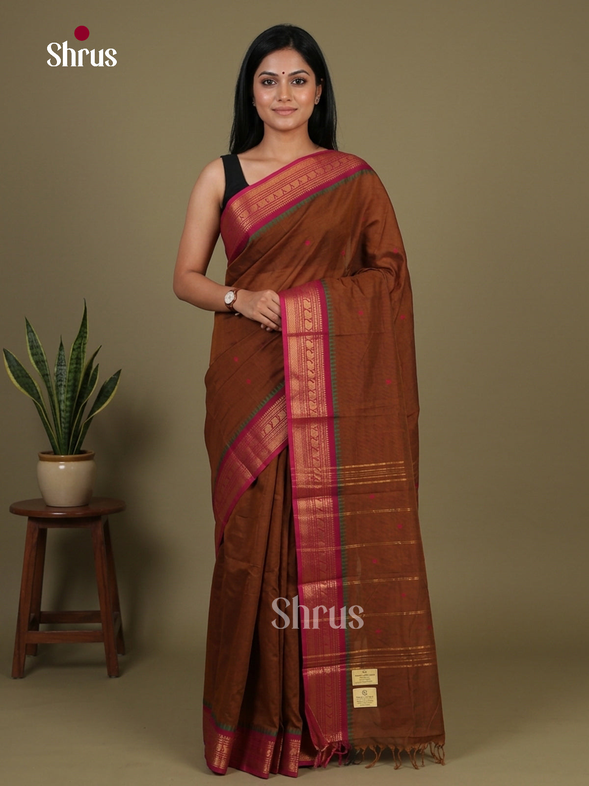 Chettinad Cotton Saree - EFS11027