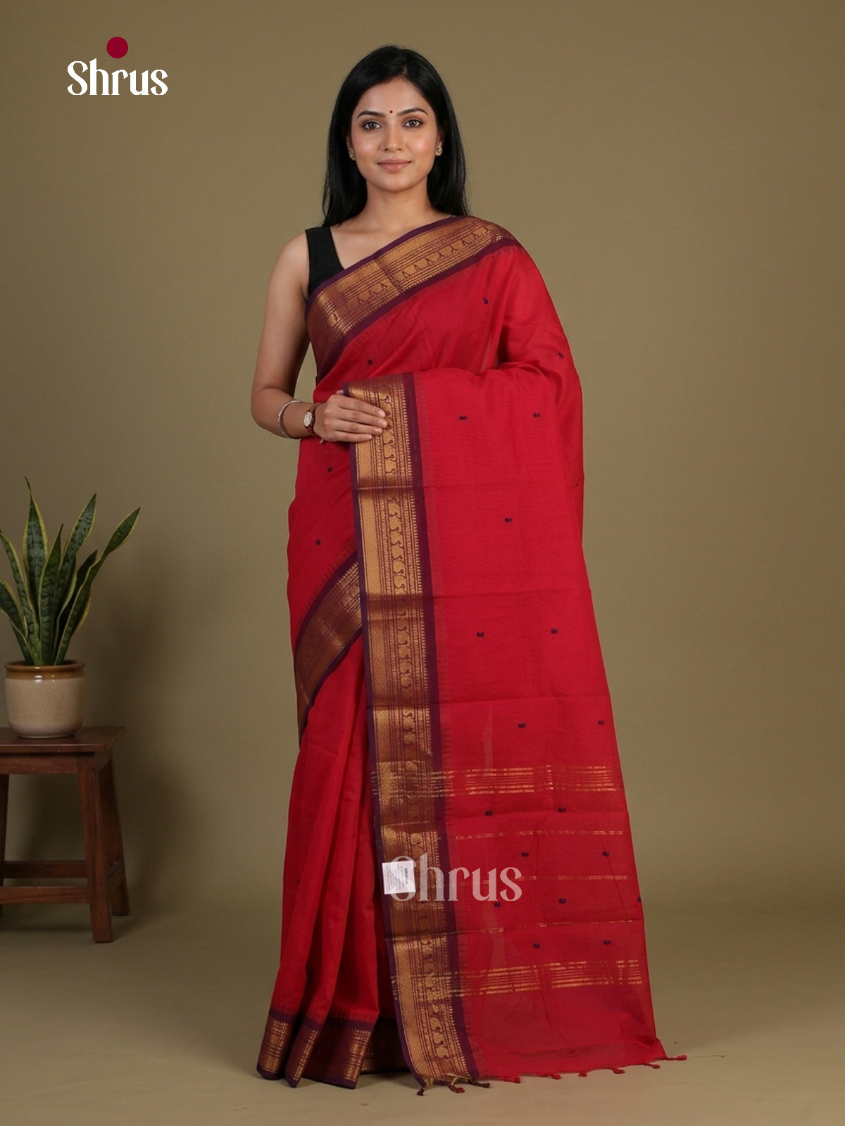Chettinad Cotton Saree - EFS11030 - Shop on Shrus.com