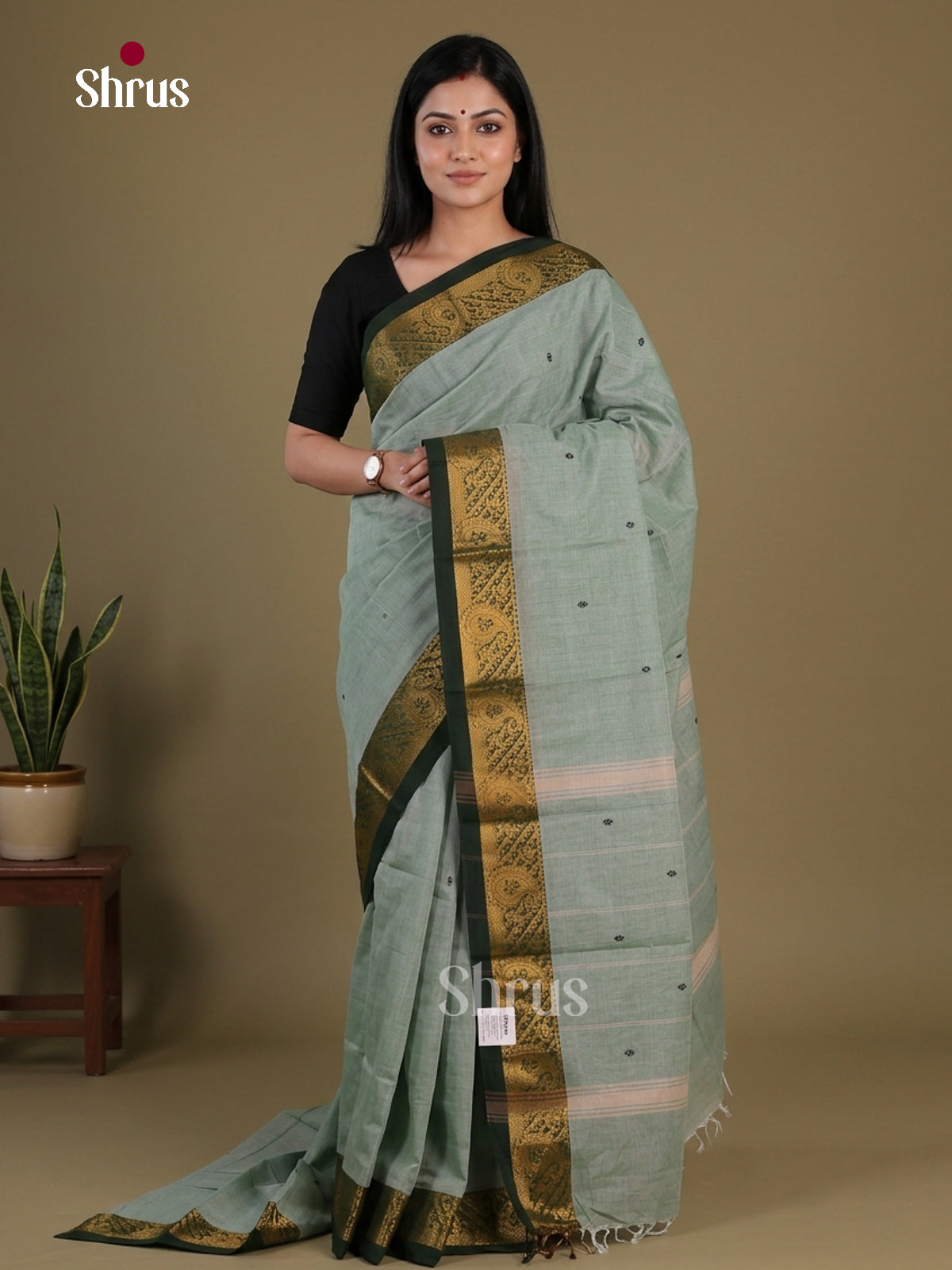 Chettinad Cotton Saree - EFS11032 - Shop on Shrus.com