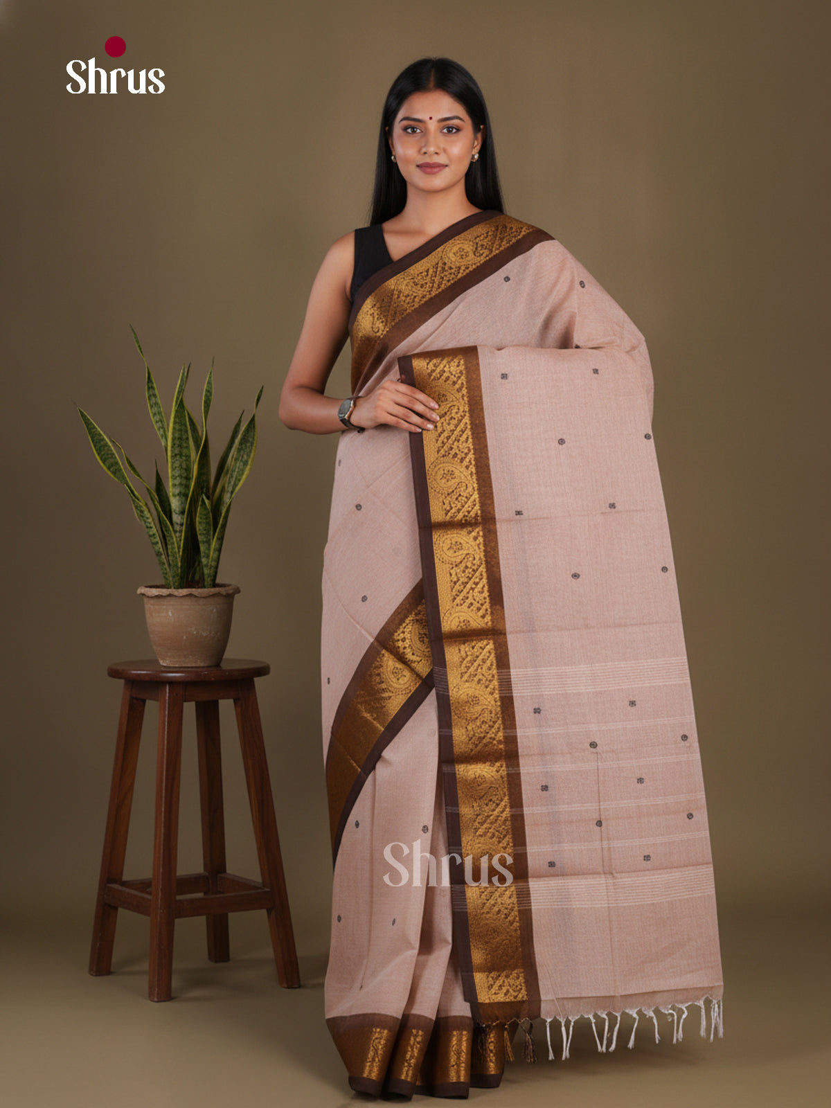Chettinad Cotton Saree - EFS11034 - Shop on Shrus.com