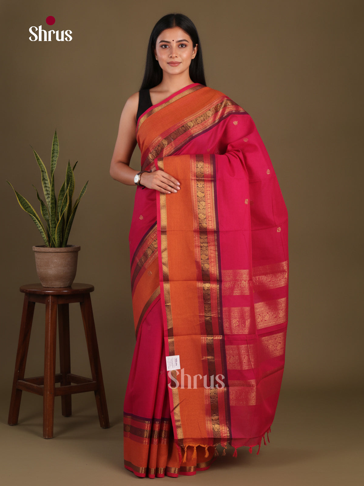 Chettinad Cotton Saree - EFS11036 - Shop on Shrus.com