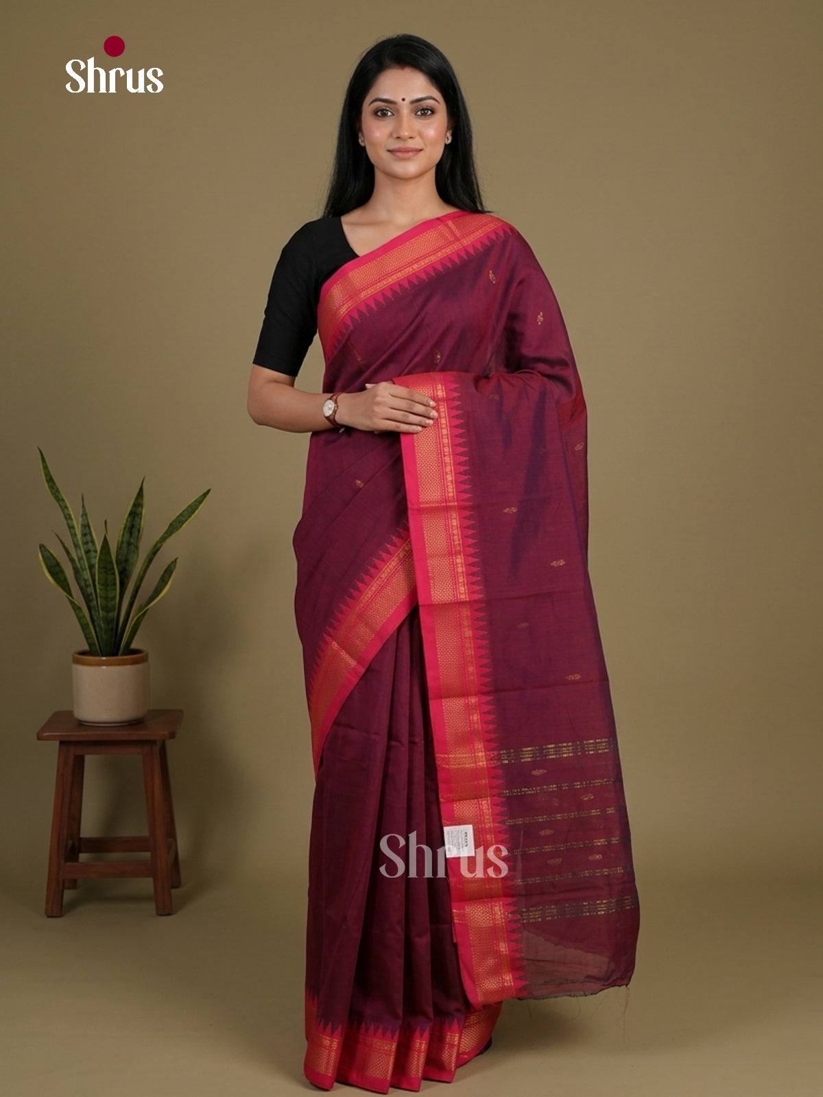 Chettinad Mix Cotton Saree - EFS11042 - Shop on Shrus.com