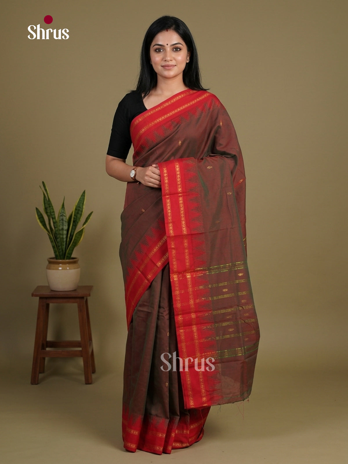 Chettinad Mix Cotton Saree - EFS11044 - Shop on Shrus.com