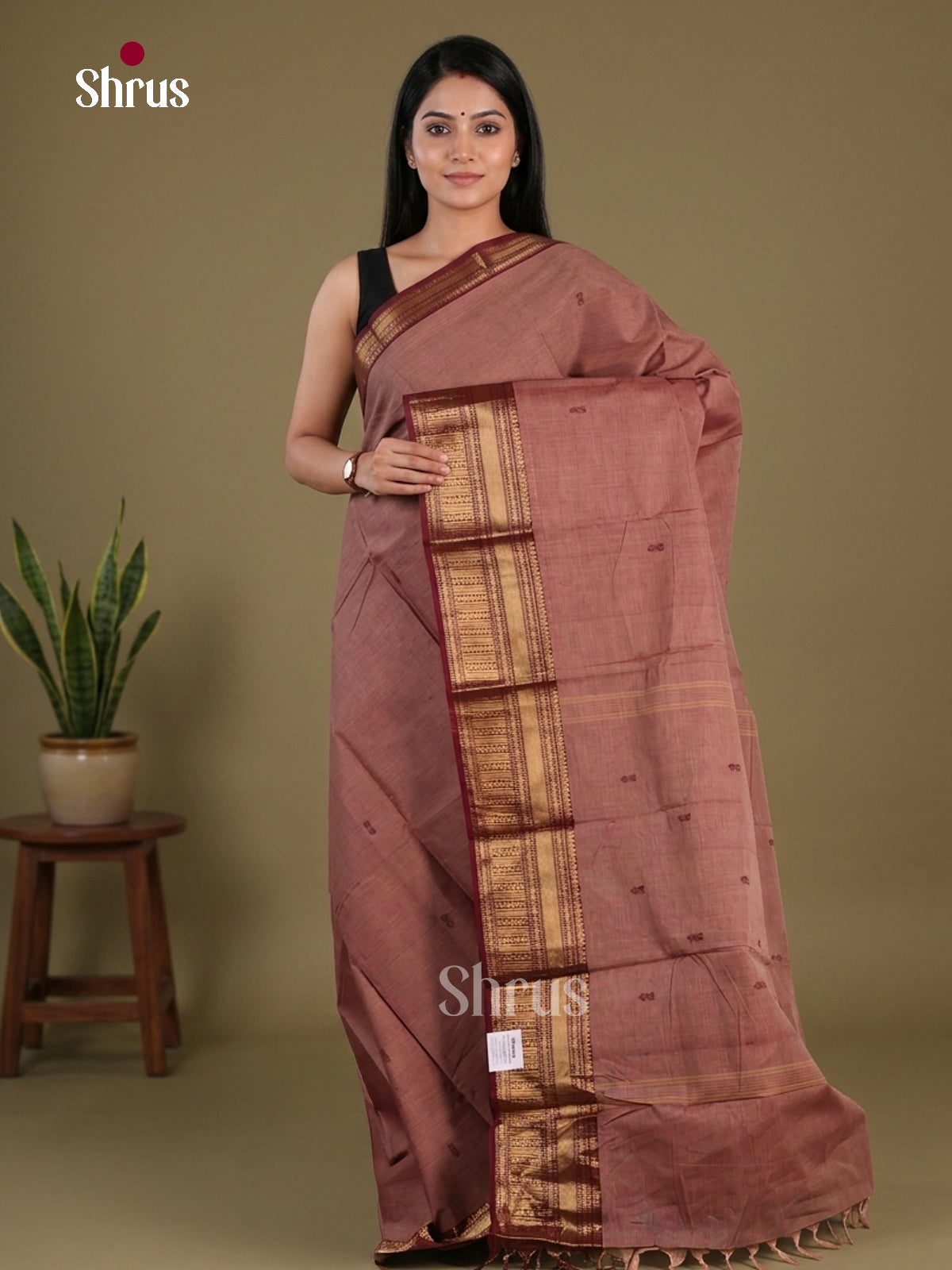 Chettinad Cotton Saree - EFS11062 - Shop on Shrus.com