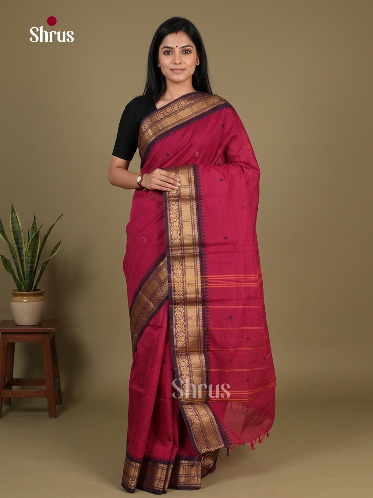 Chettinad Cotton Saree - EFS11067 - Shop on Shrus.com