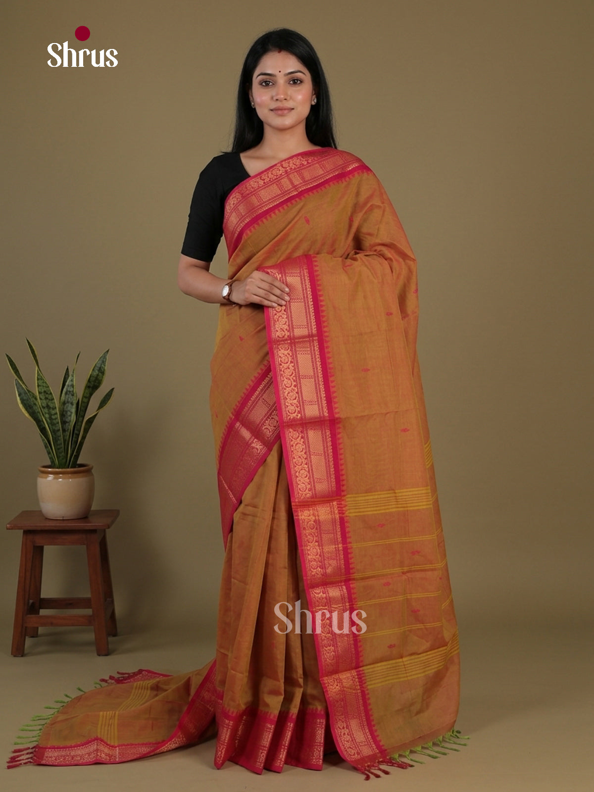 Chettinad Cotton Saree - EFS11068 - Shop on Shrus.com