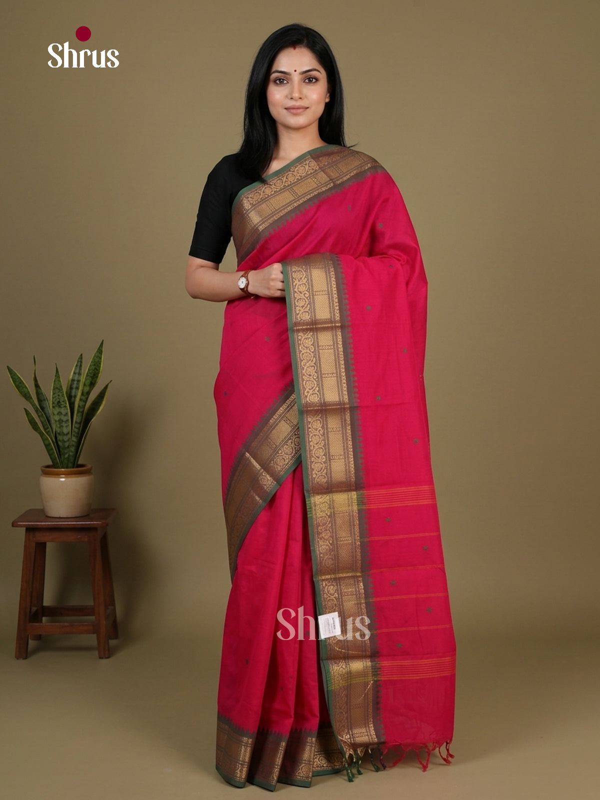 Chettinad Cotton Saree - EFS11072 - Shop on Shrus.com