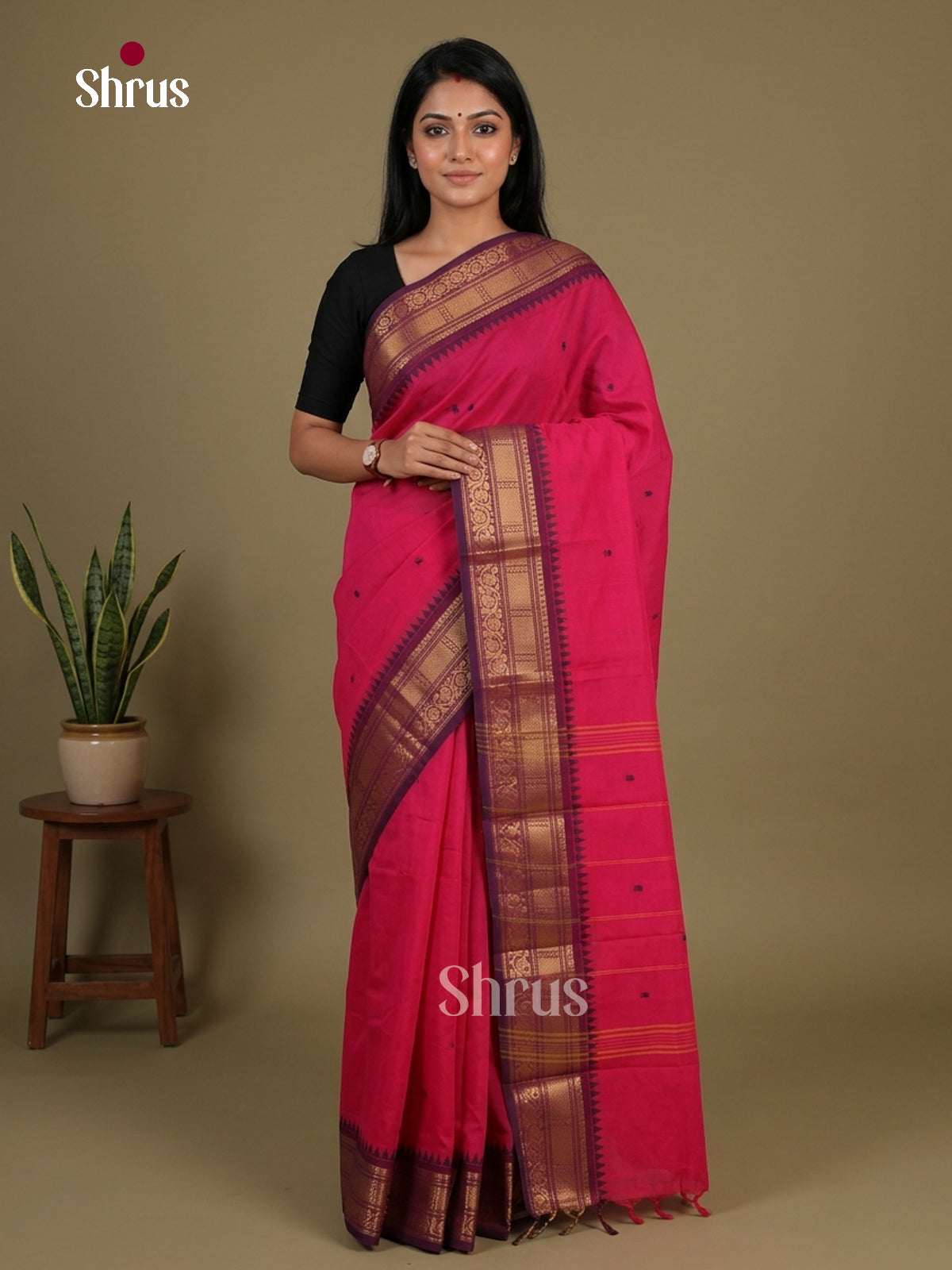 Chettinad Cotton Saree - EFS11073 - Shop on Shrus.com