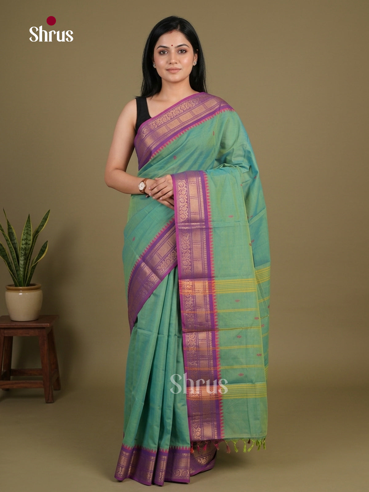Chettinad Cotton Saree - EFS11074 - Shop on Shrus.com