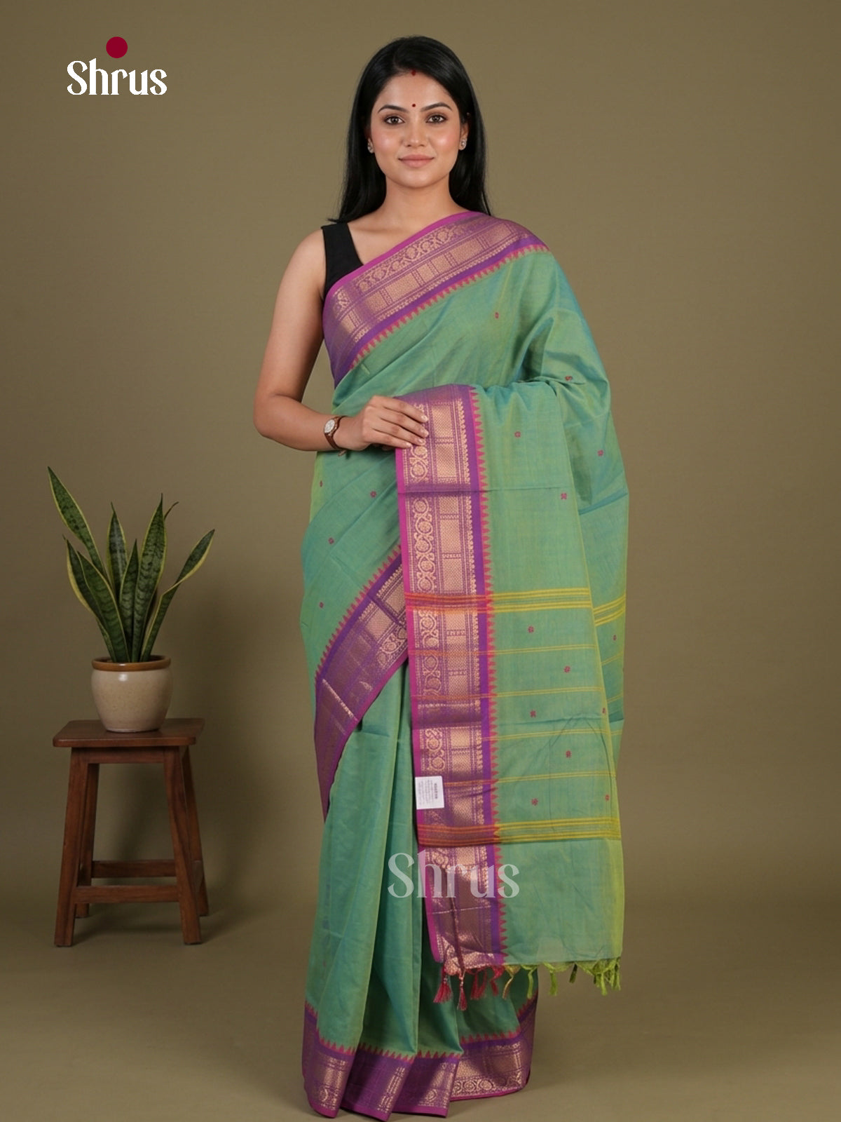 Chettinad Cotton Saree - EFS11075 - Shop on Shrus.com