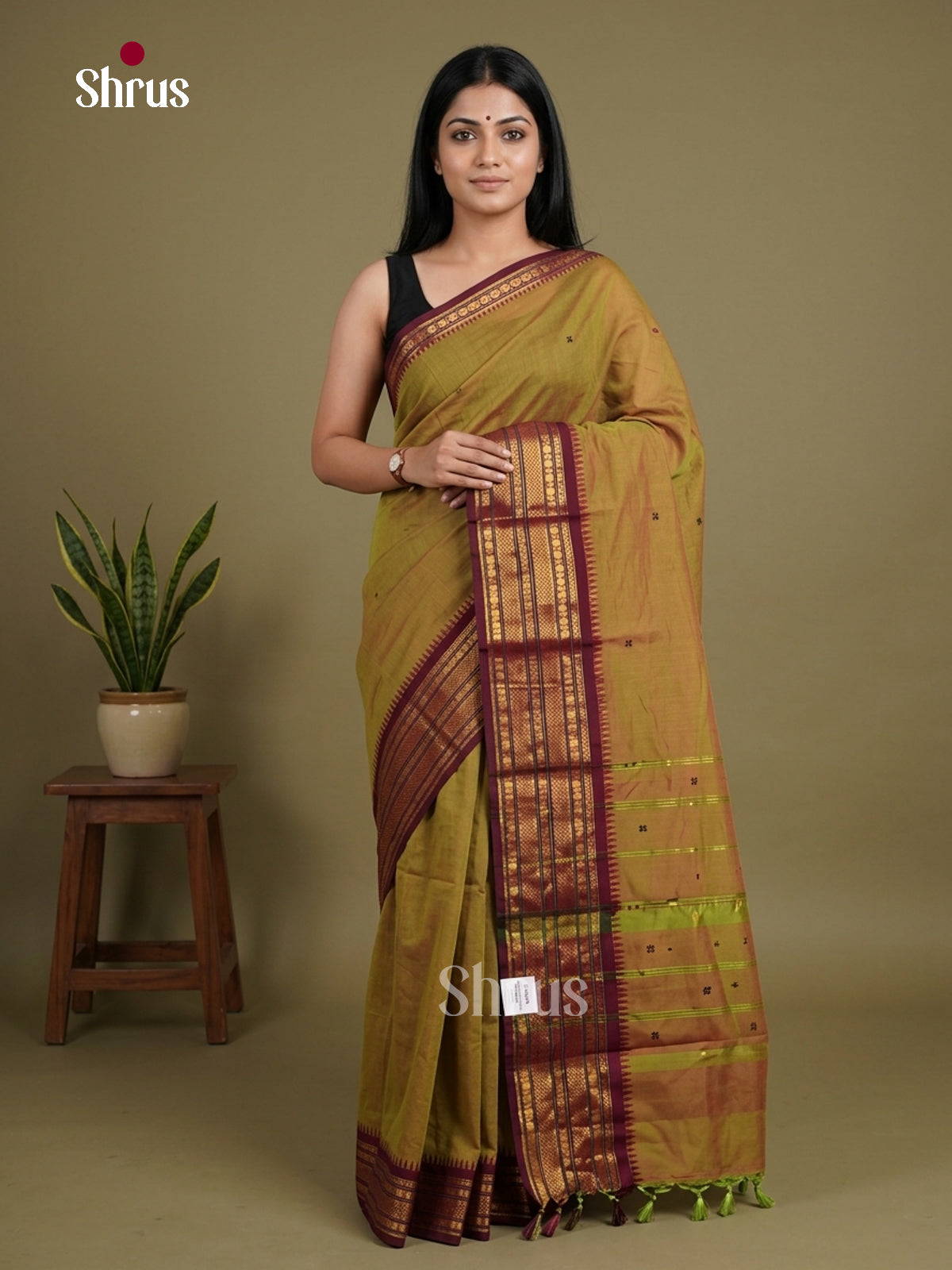 Chettinad Cotton Saree - EFS11077 - Shop on Shrus.com