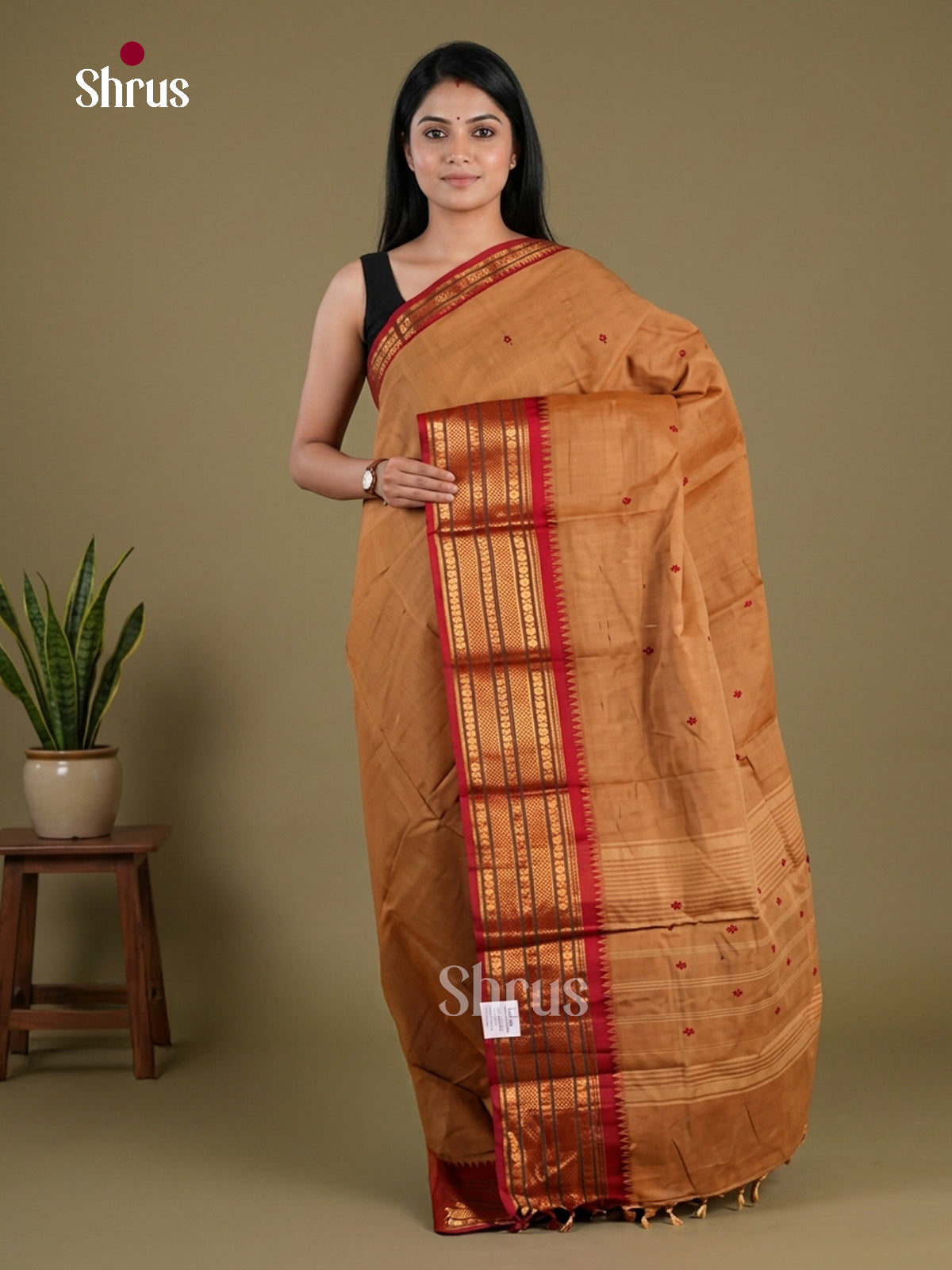 Chettinad Cotton Saree - EFS11078 - Shop on Shrus.com
