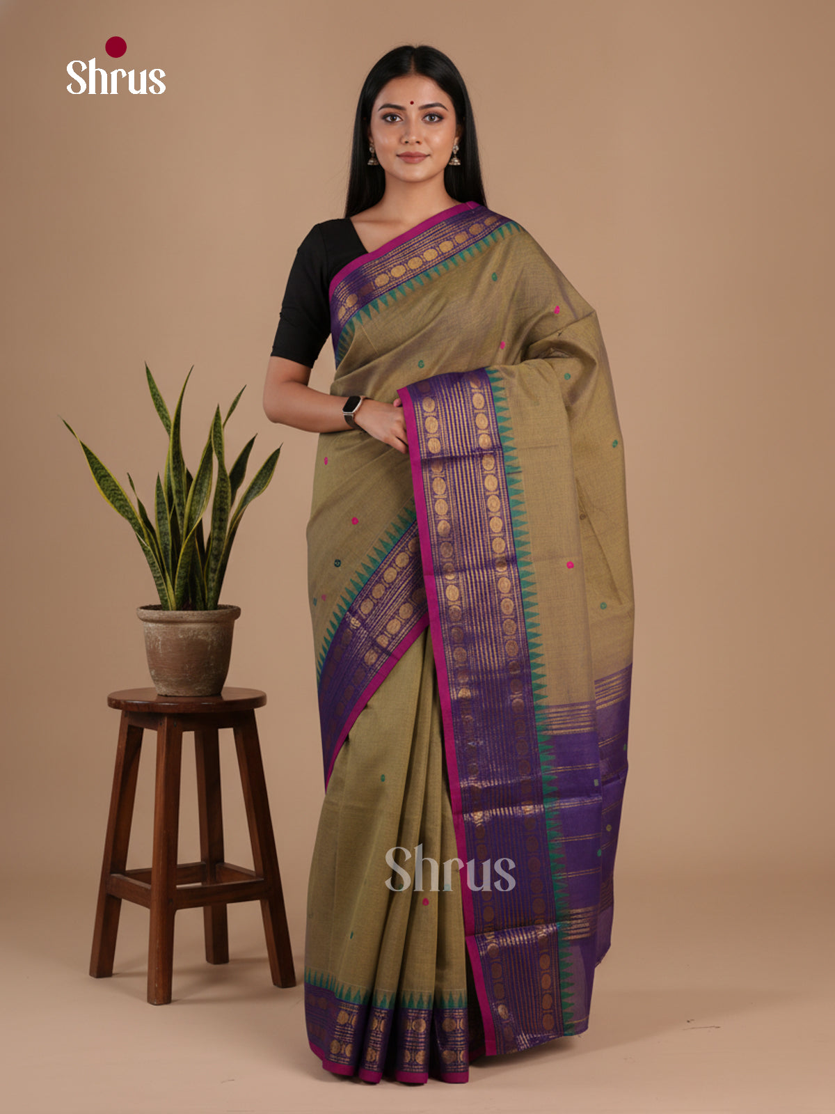 Chettinad Cotton Saree - EFS11084 - Shop on Shrus.com