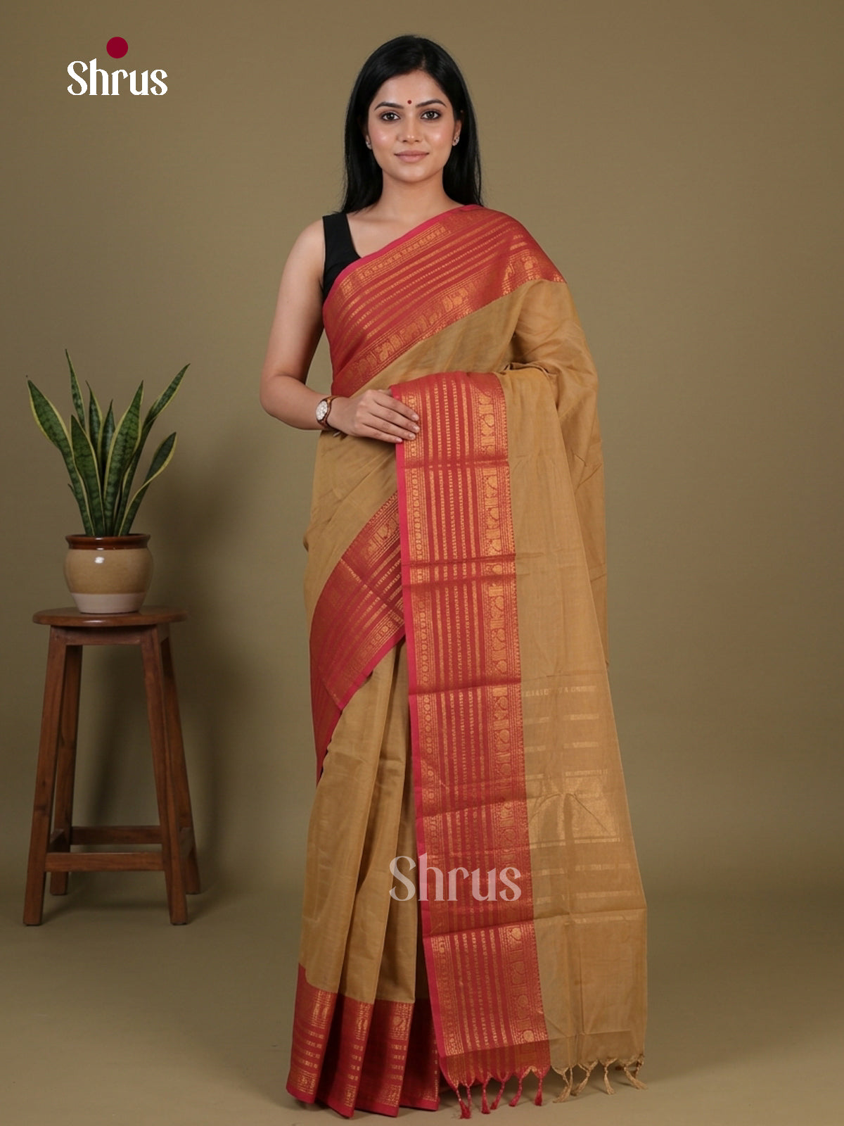 Chettinad Cotton Saree - EFS11167 - Shop on Shrus.com
