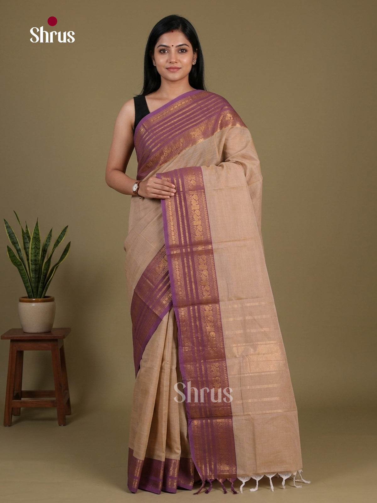 Chettinad Cotton Saree - EFS11173