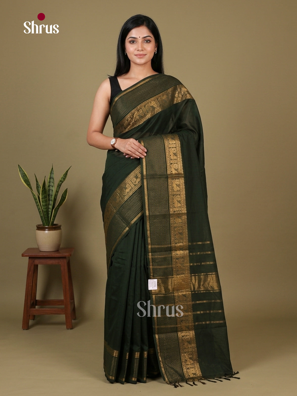 Chettinad Cotton Saree - EFS12154