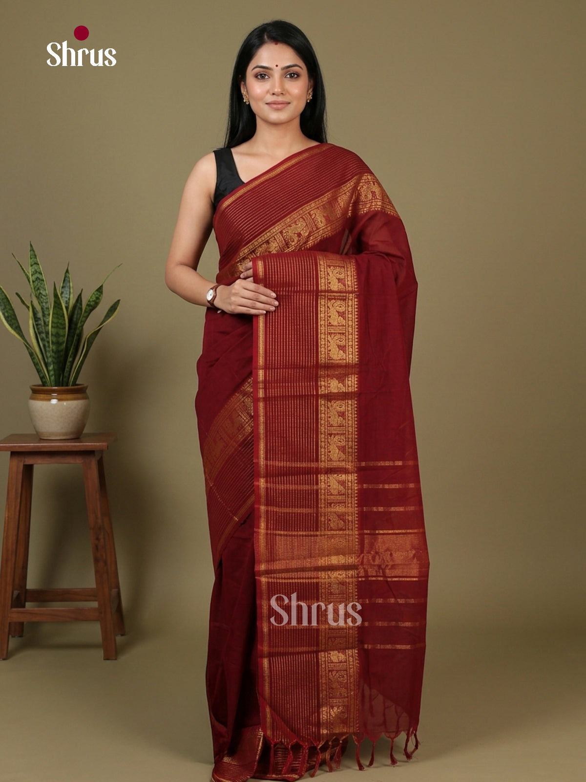 Chettinad Cotton Saree - EFS12157 - Shop on Shrus.com