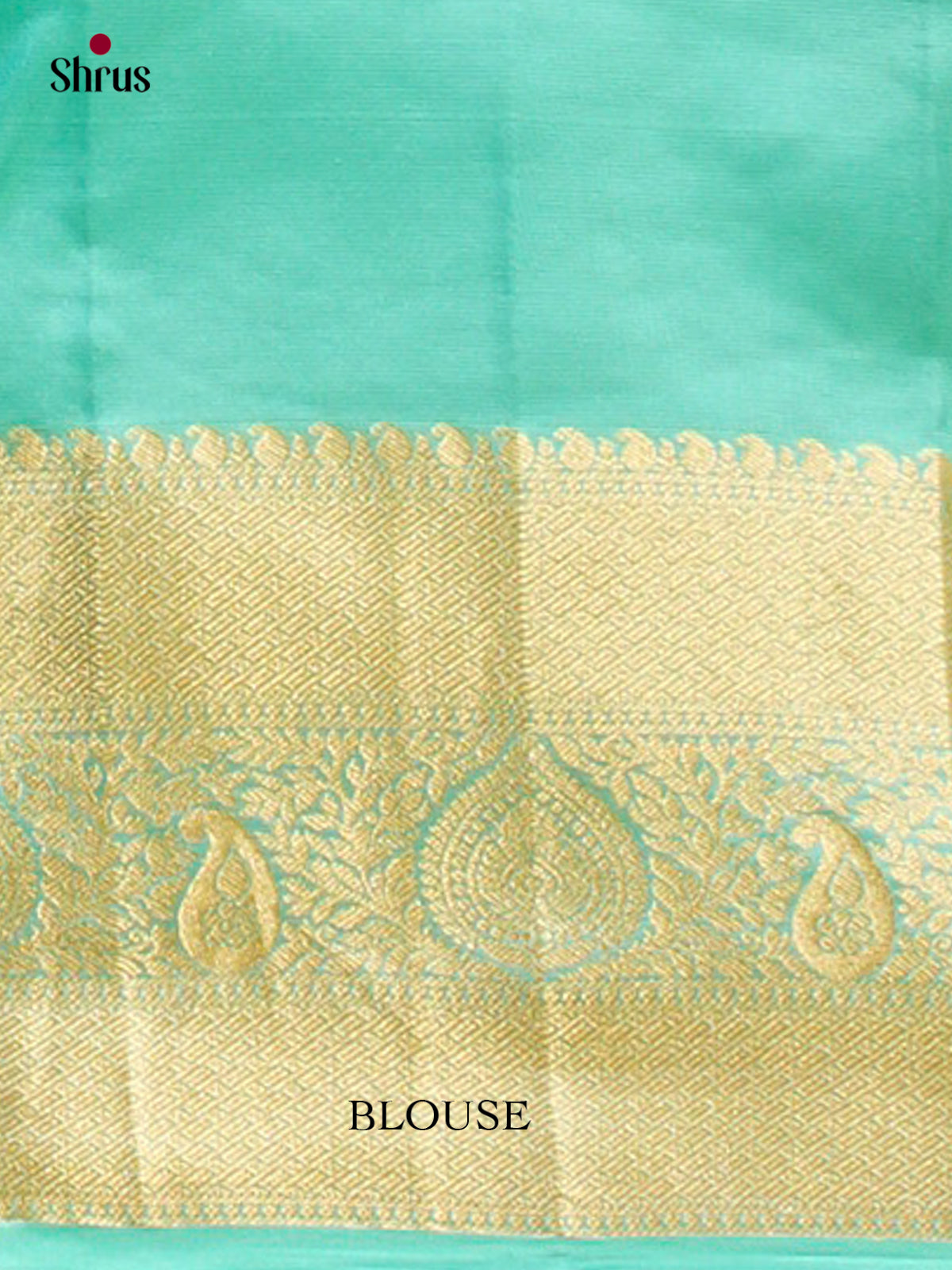 Kanchipuram silk Saree - EFS12202