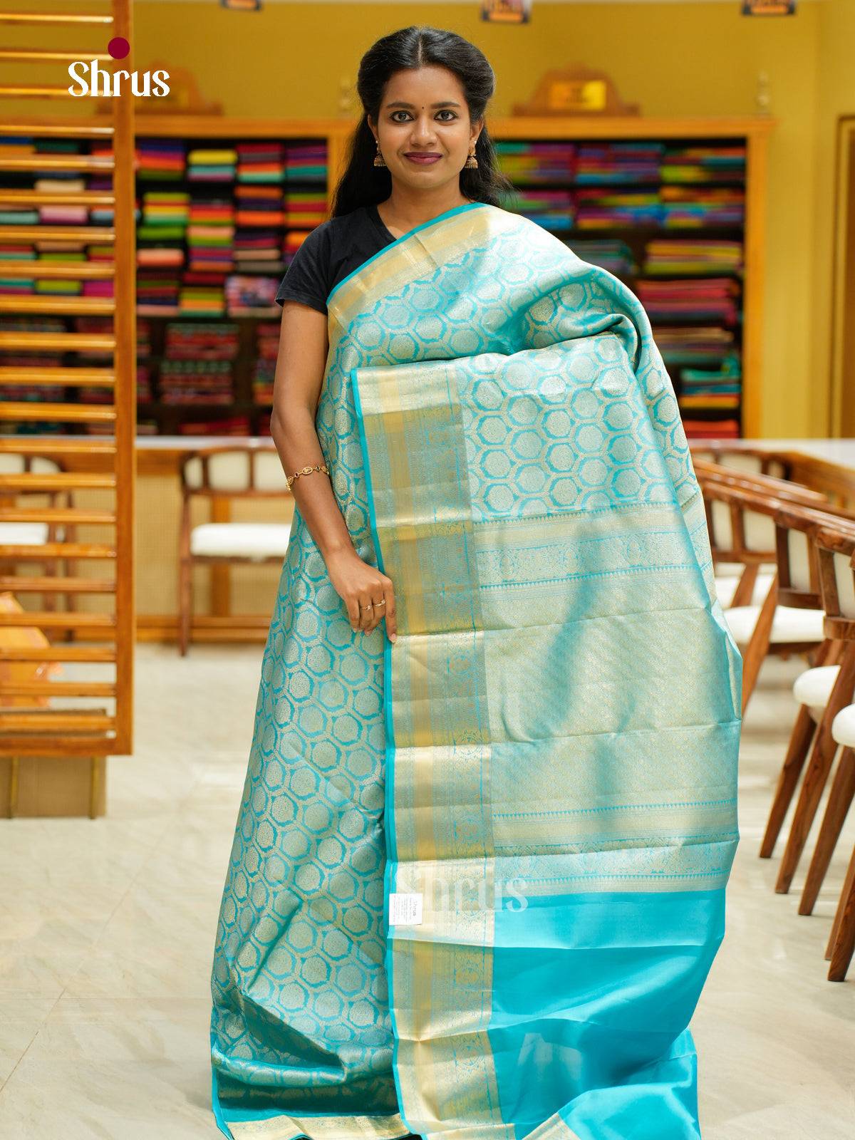 Kanchipuram silk Saree - EFS12233
