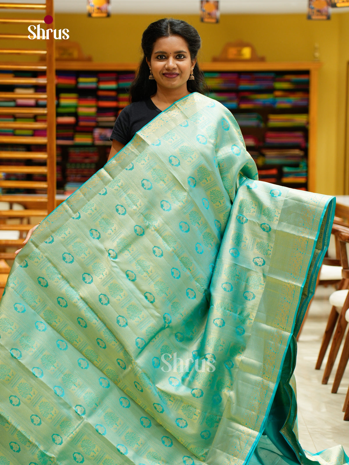 Kanchipuram silk Saree - EFS12240