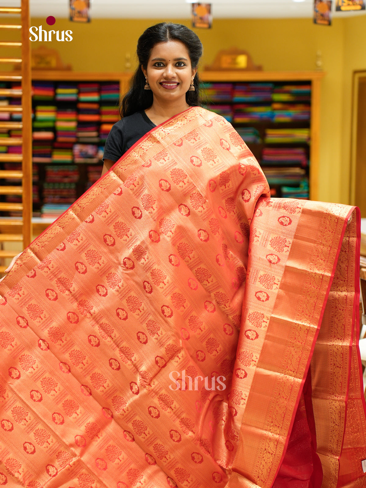 Kanchipuram silk Saree - EFS12242