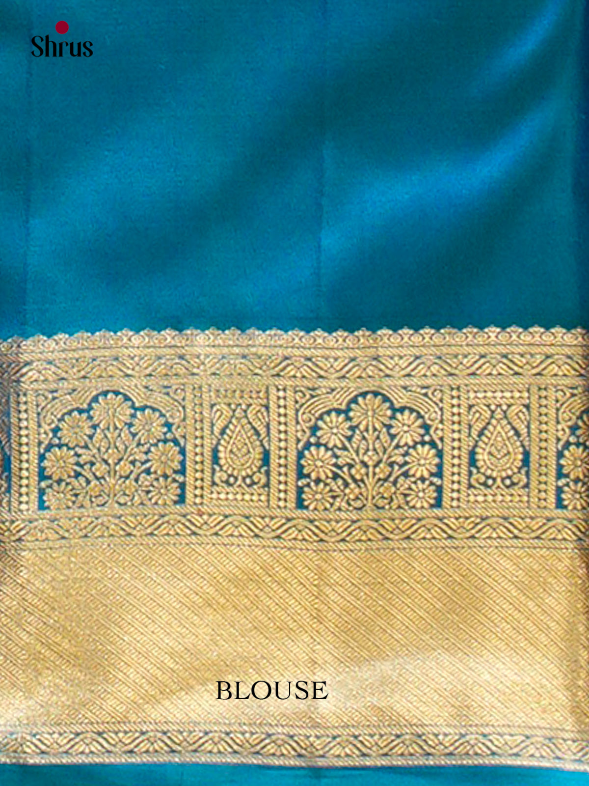 Kanchipuram silk Saree - EFS12246