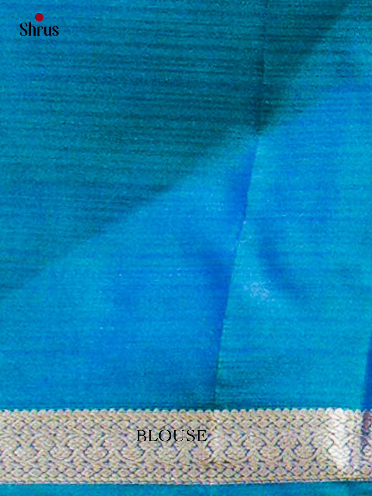 Kanchipuram silk Saree - EFS12312 - Shop on Shrus.com