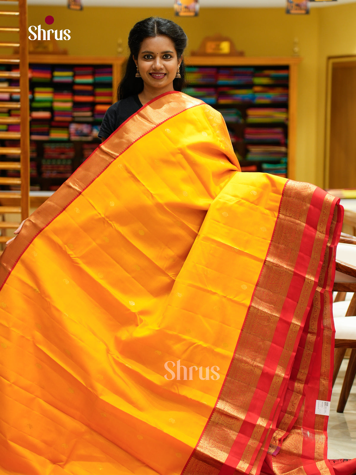 Kanchipuram silk Saree - EFS12476
