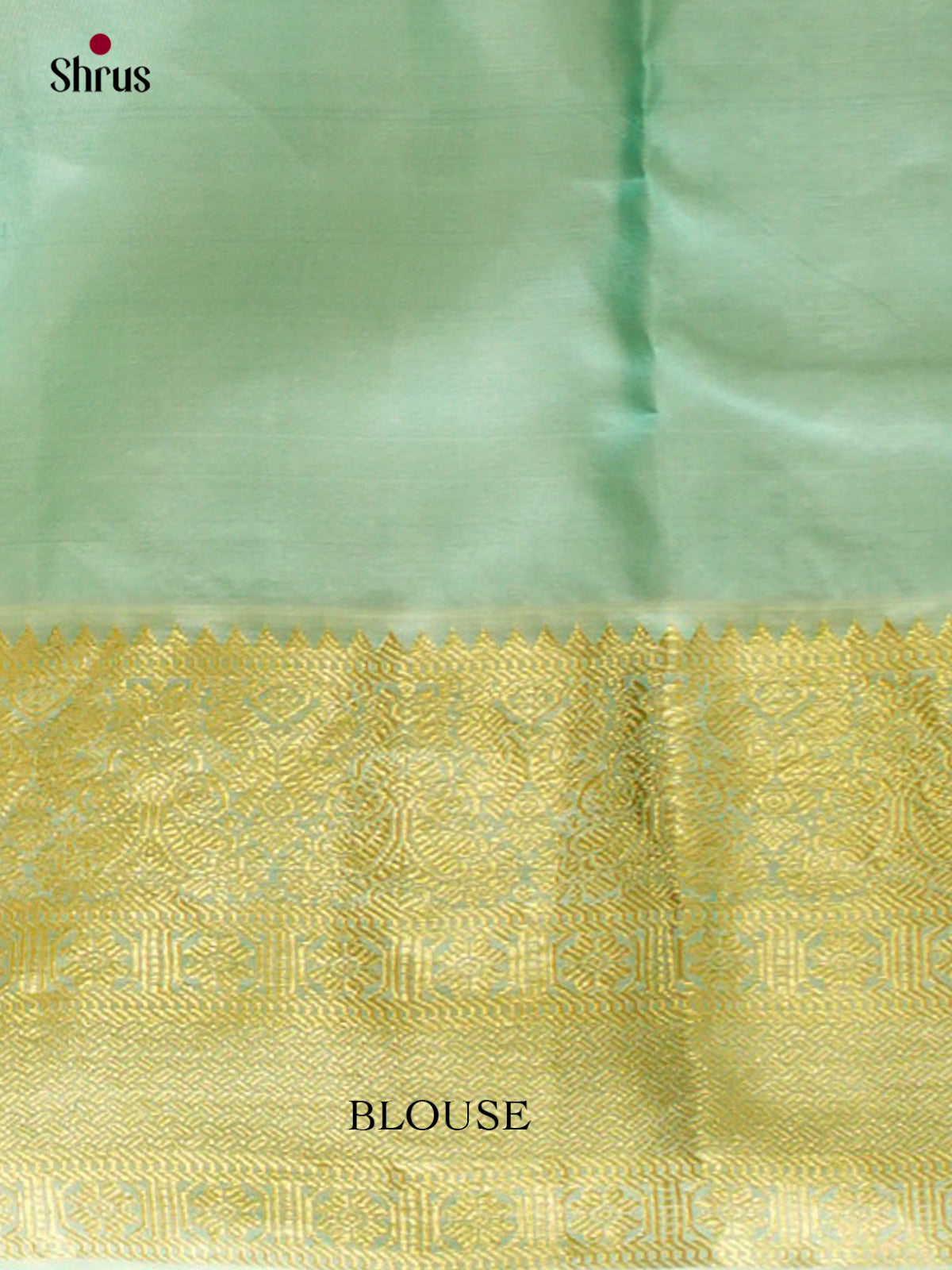 Kanchipuram silk Saree - EFS12485