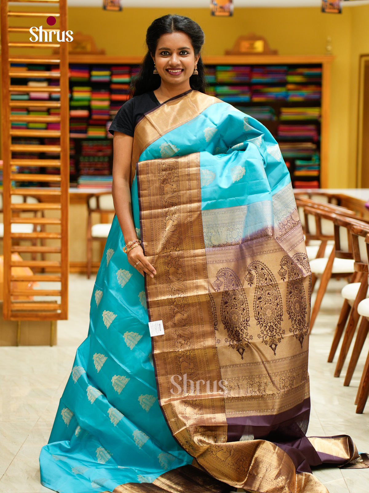 Kanchipuram silk Saree - EFS12492