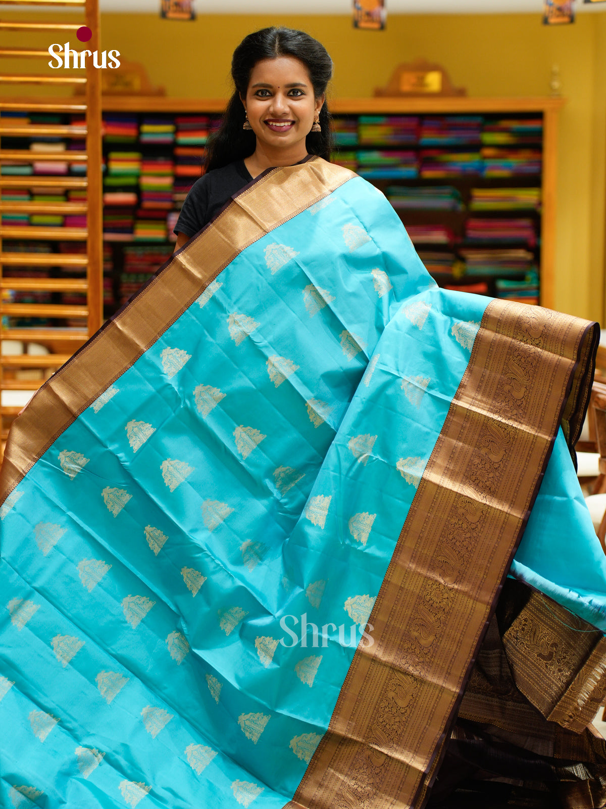 Kanchipuram silk Saree - EFS12492