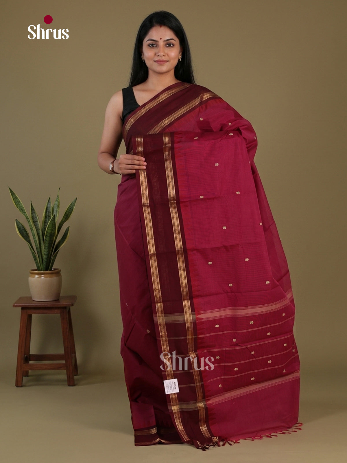 Chettinad Cotton Saree - EFS13008 - Shop on Shrus.com