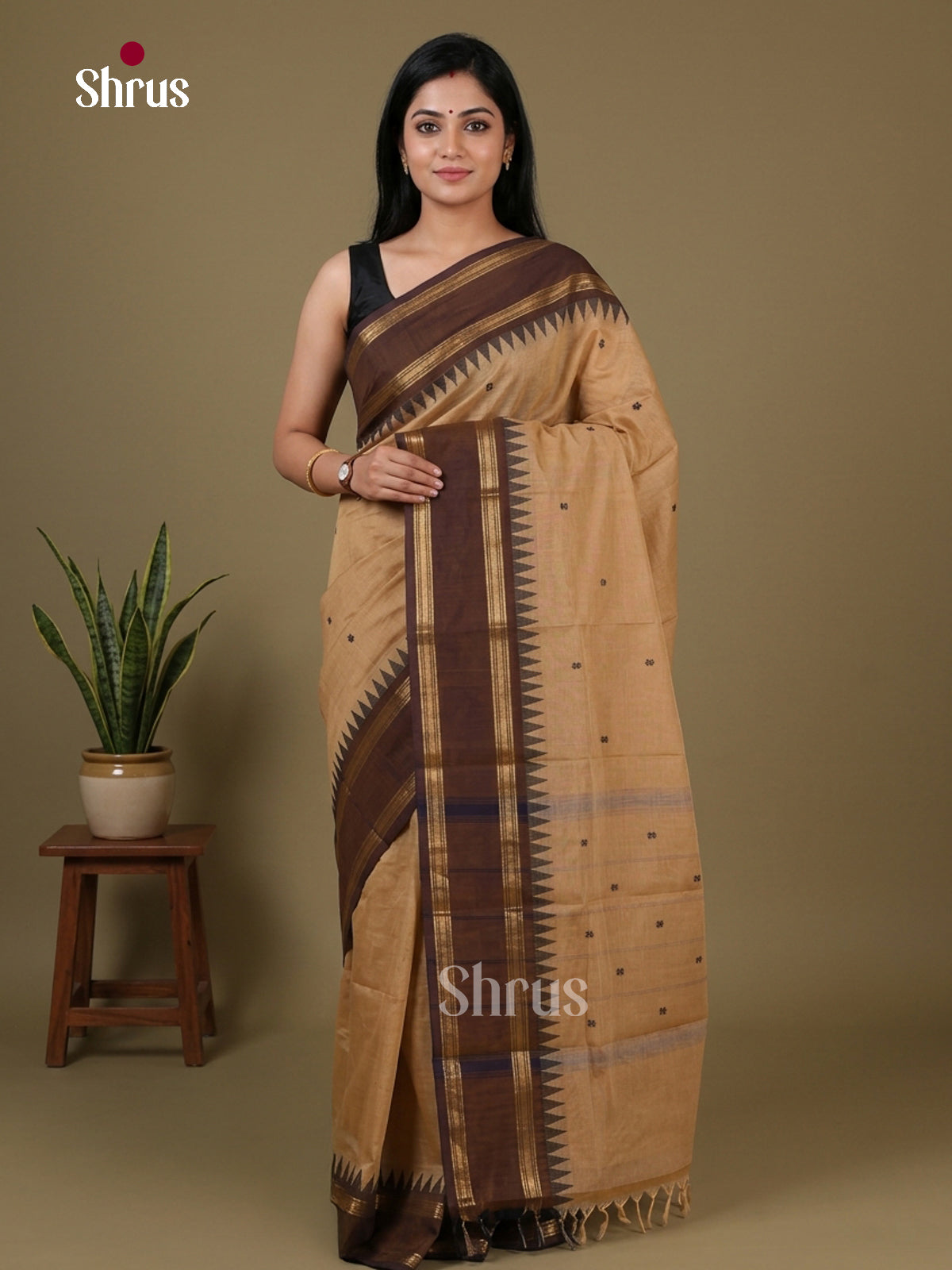 Chettinad Cotton Saree - EFS13012 - Shop on Shrus.com