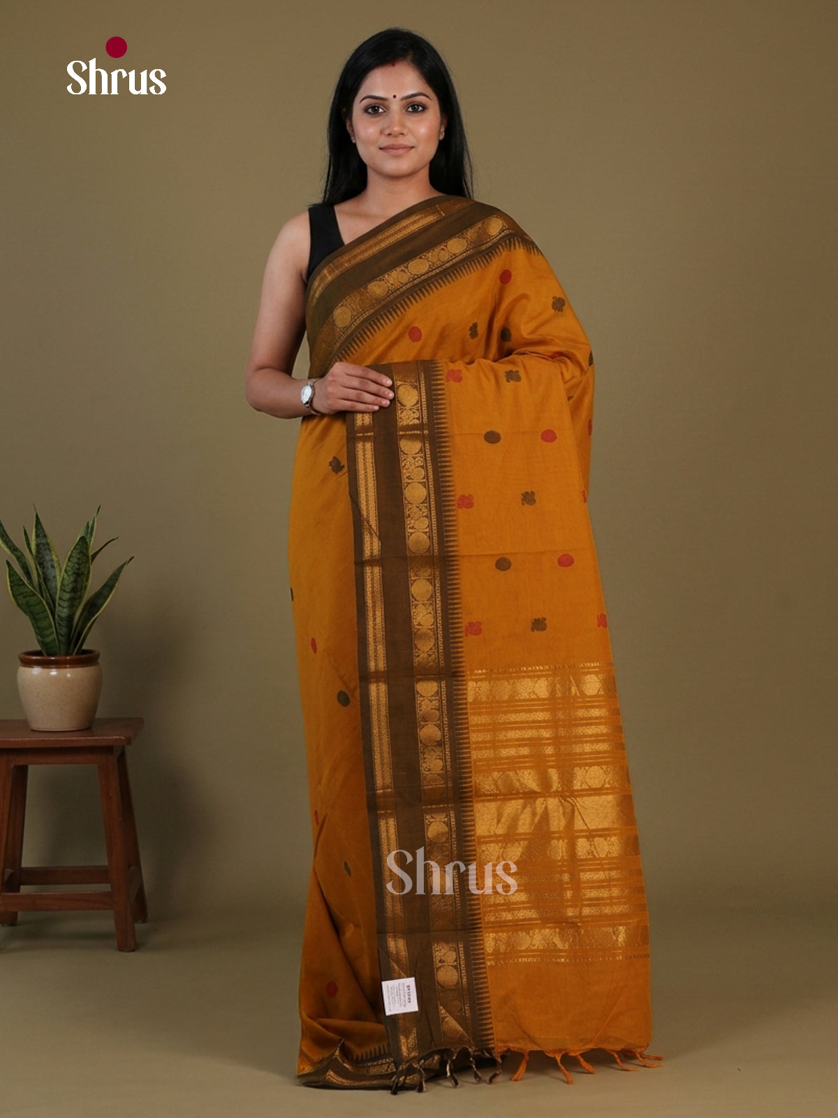 Chettinad Cotton Saree - EFS13022 - Shop on Shrus.com