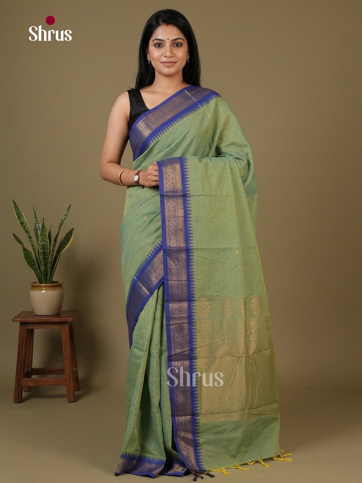 Chettinad Cotton Saree - EFS13028
