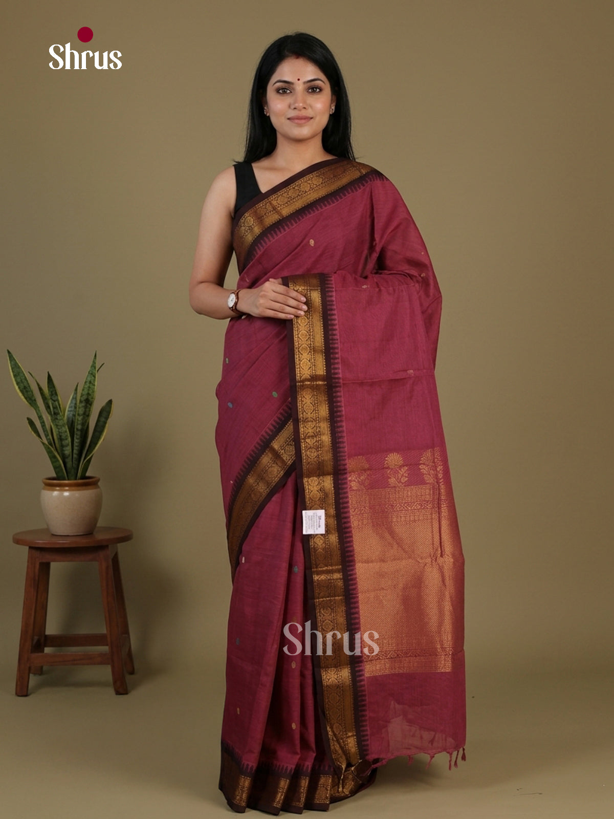Chettinad Cotton Saree - EFS13036 - Shop on Shrus.com