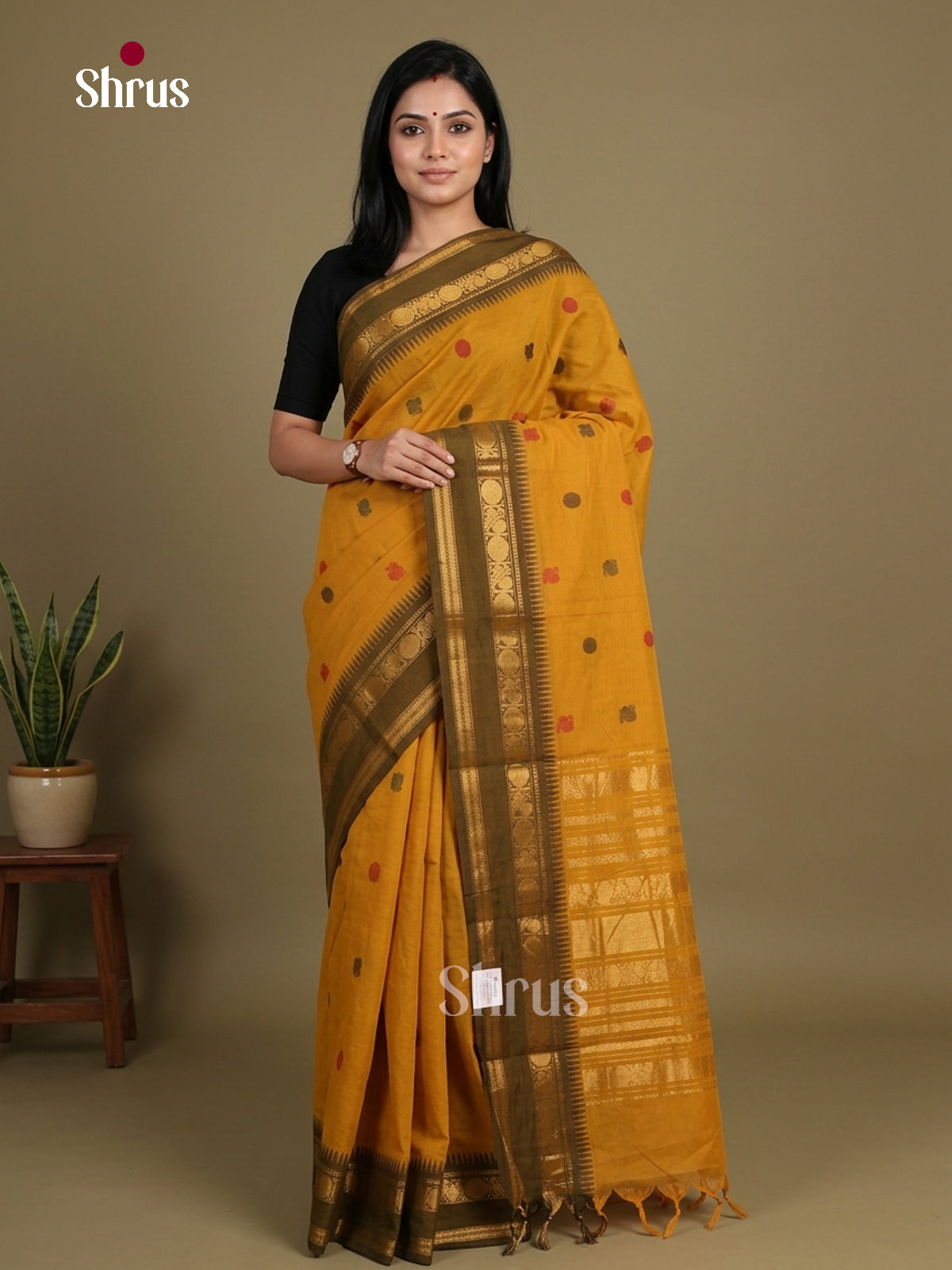 Chettinad Cotton Saree - EFS13040