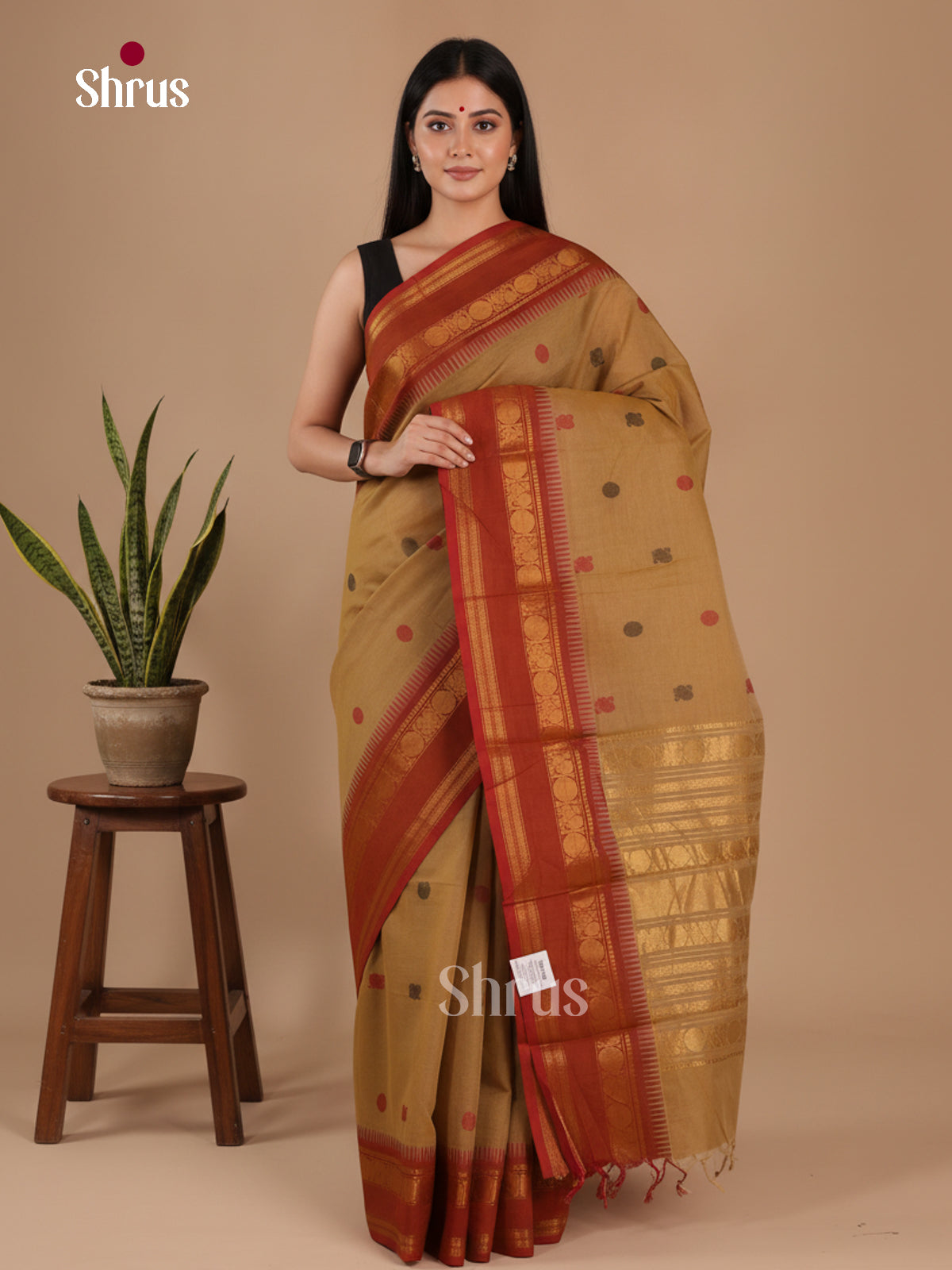 Chettinad Cotton Saree - EFS13045 - Shop on Shrus.com