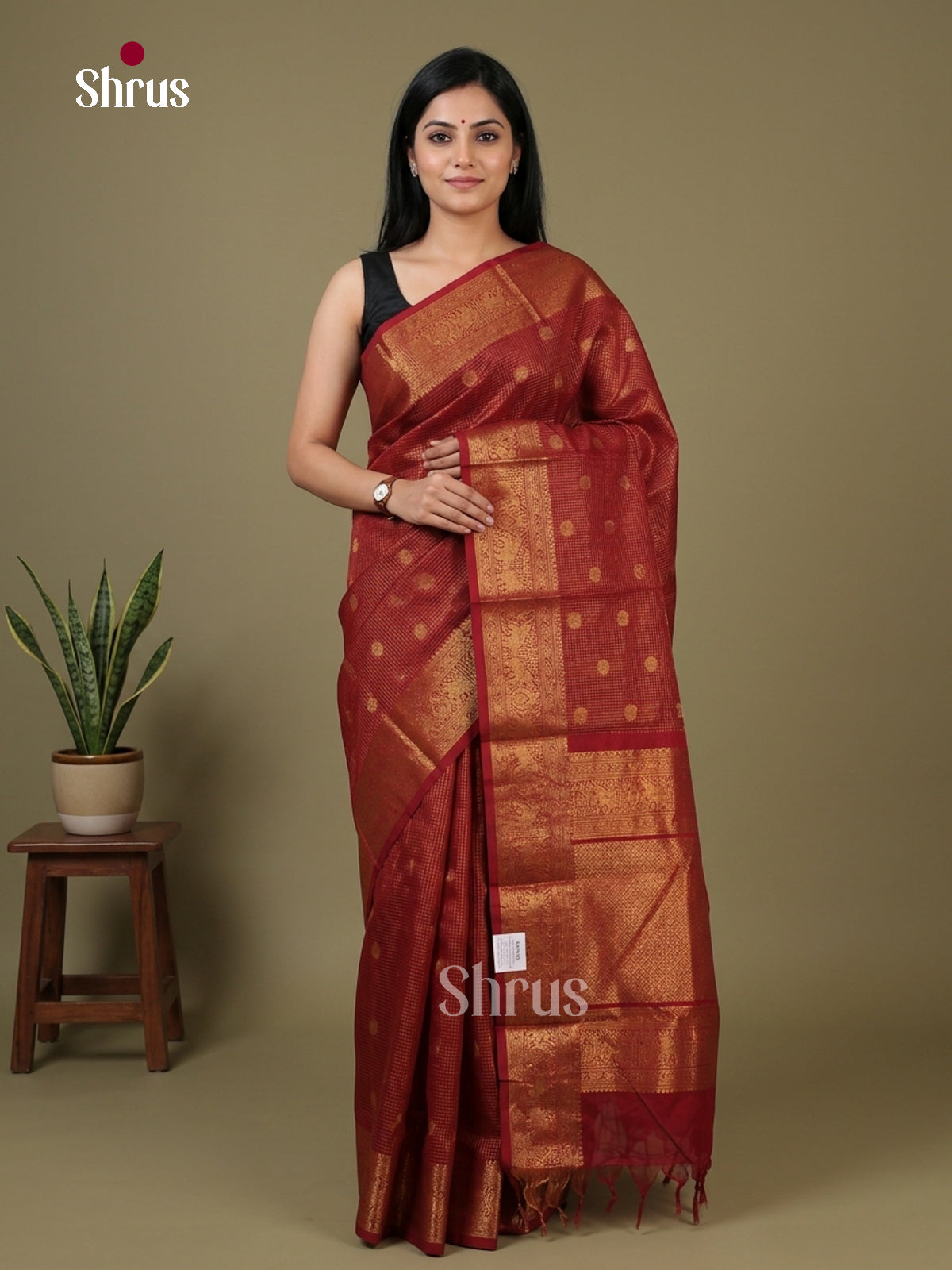 Chettinad Cotton Saree - EFS16014